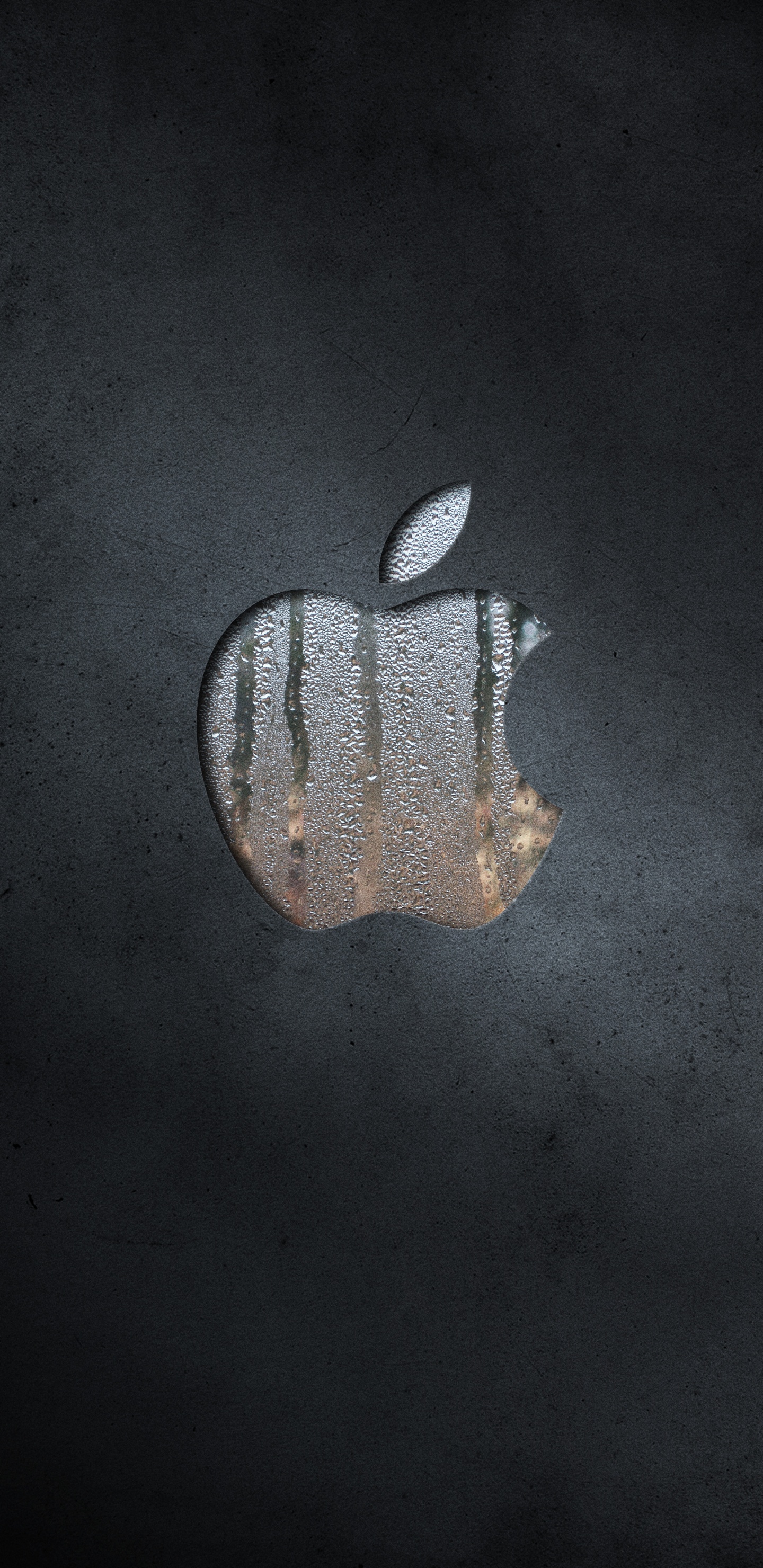 Apple, Leaf, Hand, Plant, Arm. Wallpaper in 1440x2960 Resolution