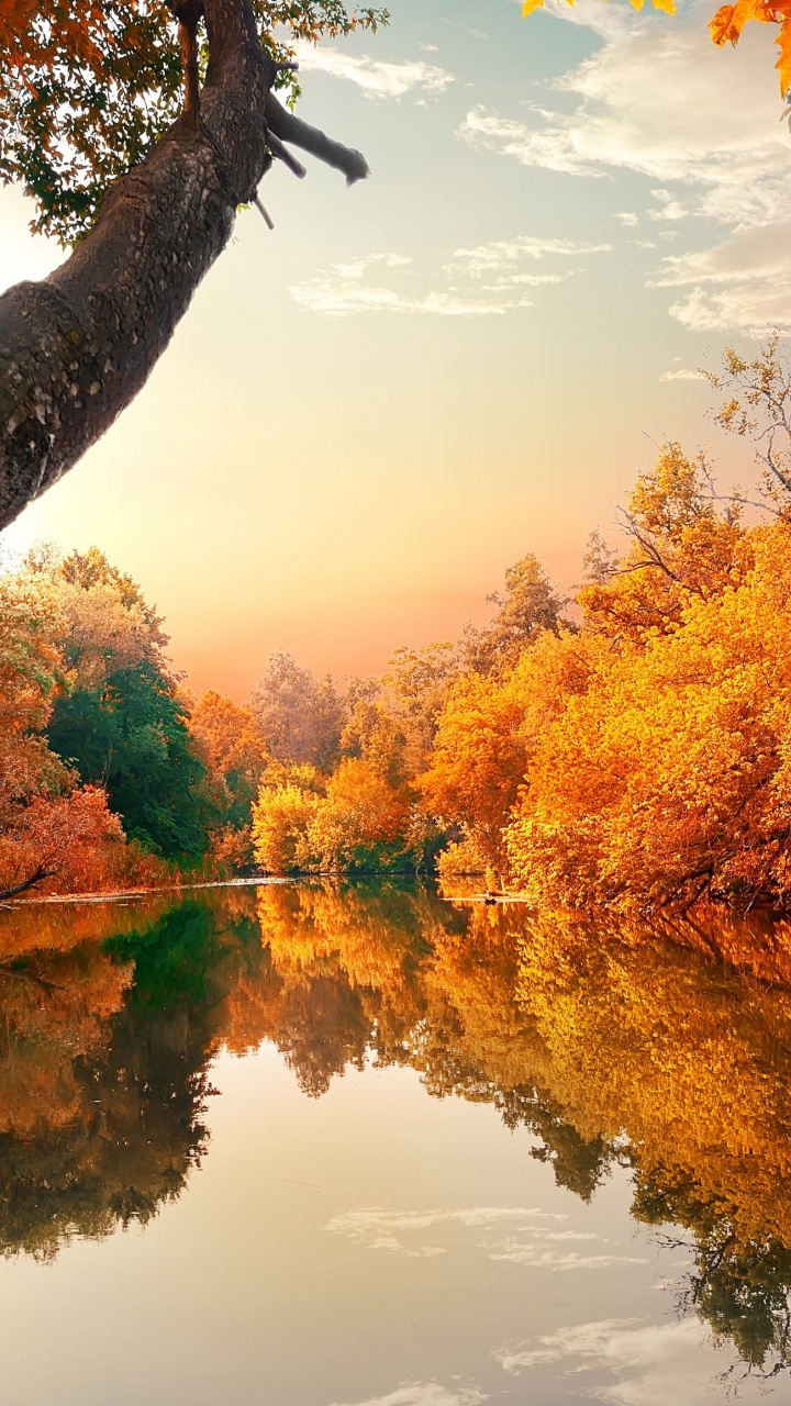 Fluss im Herbst, Herbst, Fluss, Androscoggin Fluss, Herbst-Blatt, Farbe. Wallpaper in 720x1280 Resolution