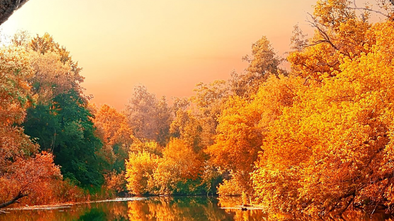 Rivière en Automne, Rivière, Rivière Androscoggin, la Couleur Des Feuilles D'automne, Eau. Wallpaper in 1280x720 Resolution