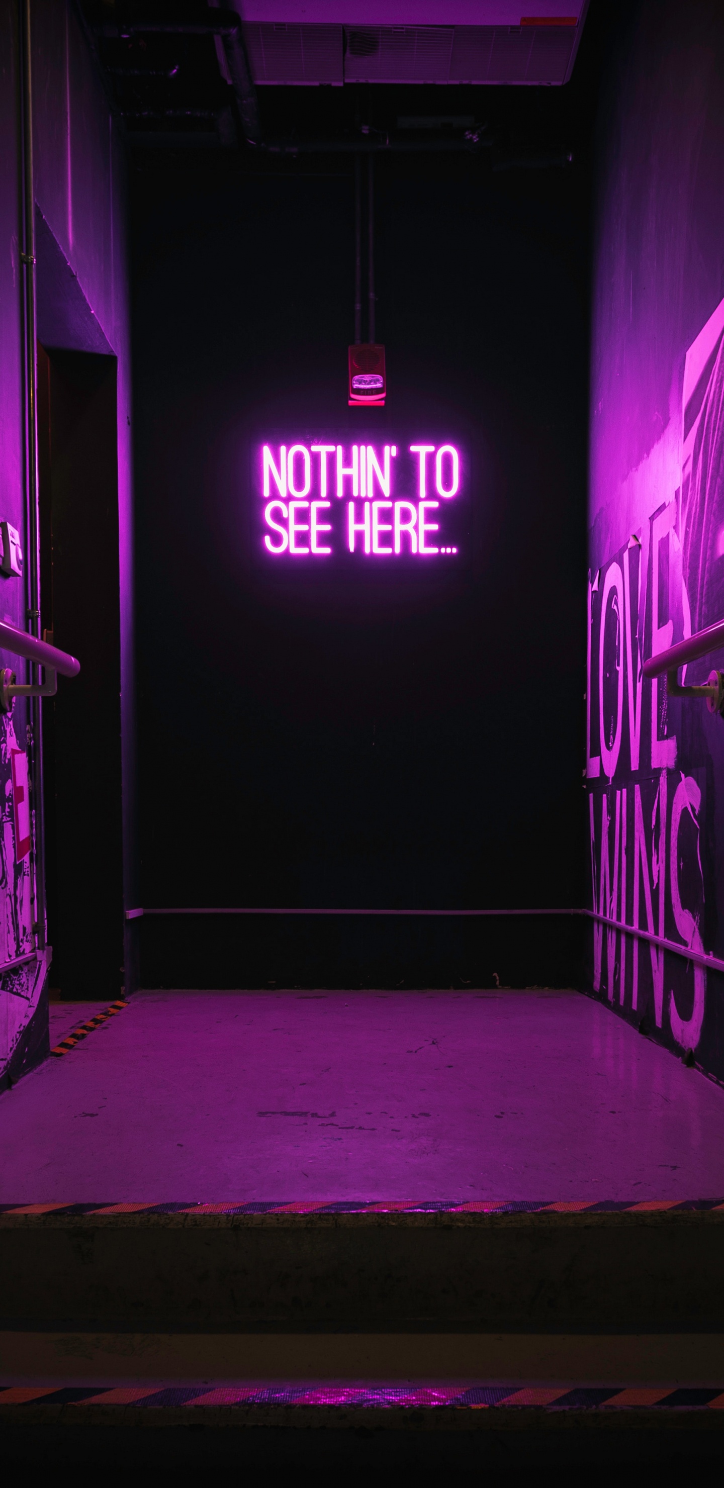 Neon, Leuchtreklame, Neon-Beleuchtung, Purpur, Tür. Wallpaper in 1440x2960 Resolution