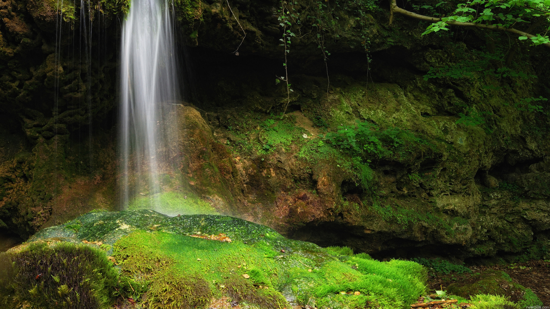 el Agua Cae en Medio Del Bosque. Wallpaper in 1920x1080 Resolution