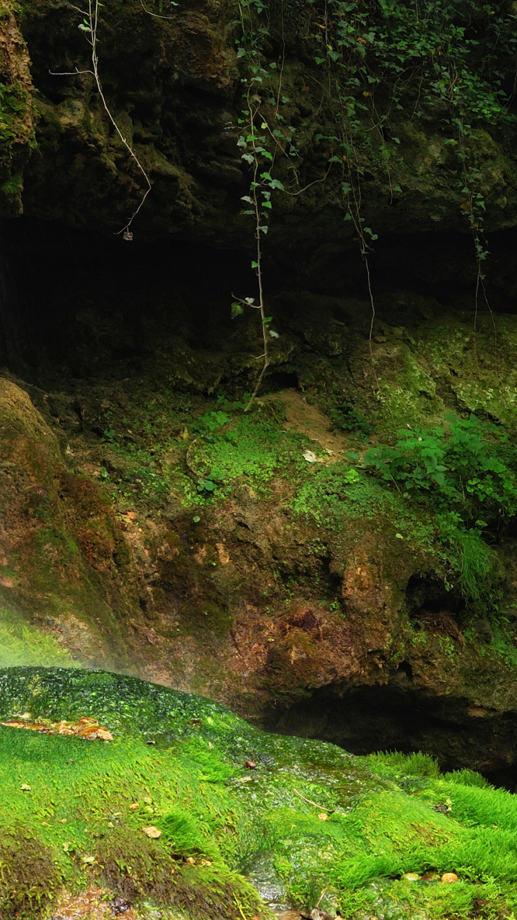 Wasser Fällt Mitten in Den Wald. Wallpaper in 750x1334 Resolution