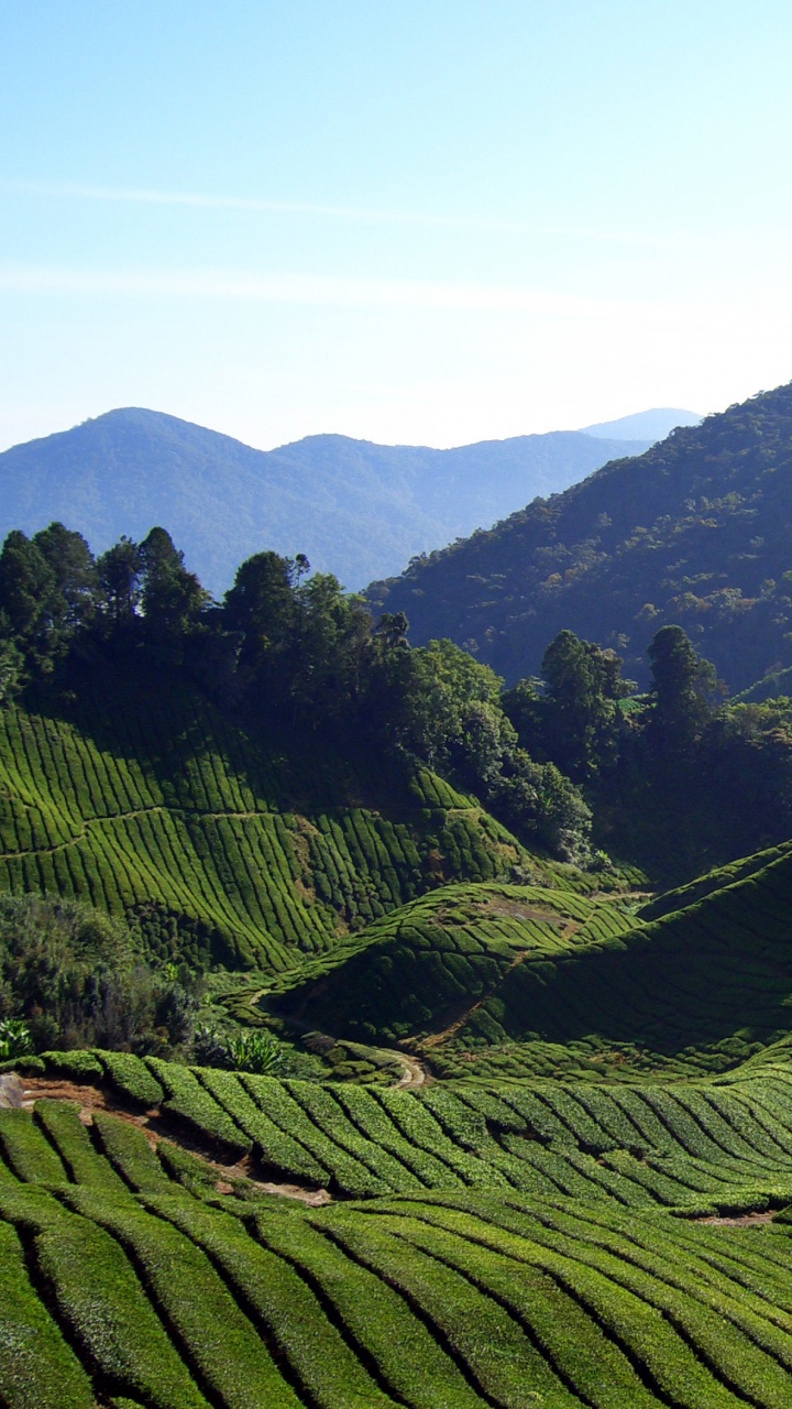 Green Mountains Under Blue Sky During Daytime. Wallpaper in 720x1280 Resolution