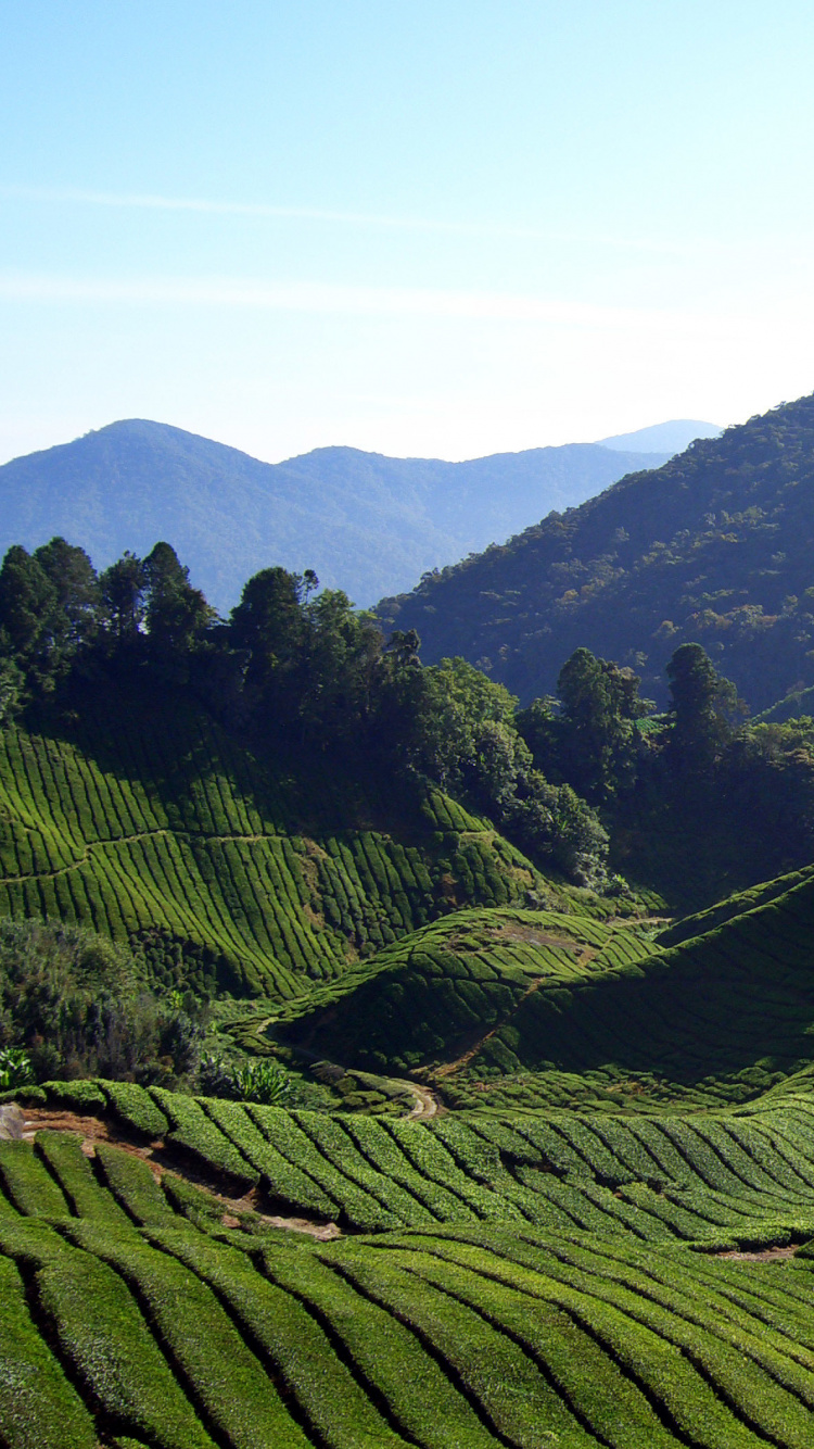 Green Mountains Under Blue Sky During Daytime. Wallpaper in 750x1334 Resolution