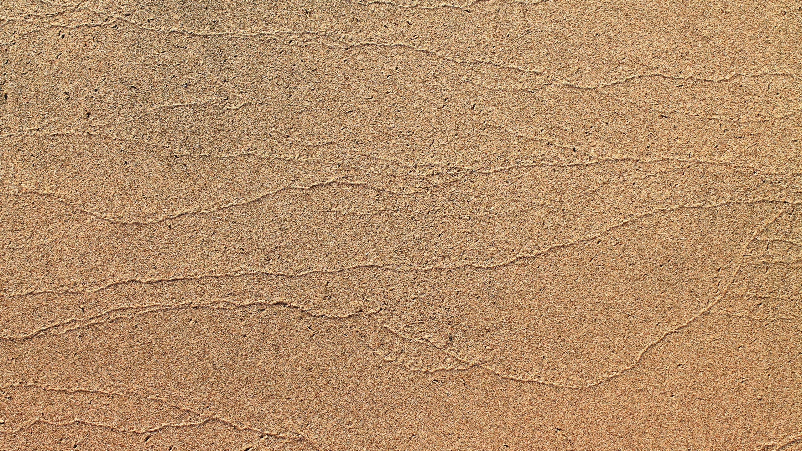 Brown and White Sand During Daytime. Wallpaper in 2560x1440 Resolution