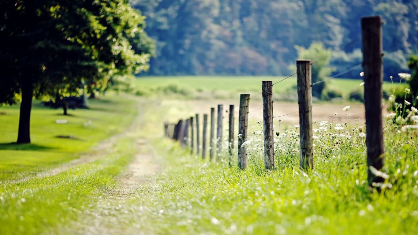Brown Wooden Fence on Green Grass Field During Daytime. Wallpaper in 1366x768 Resolution