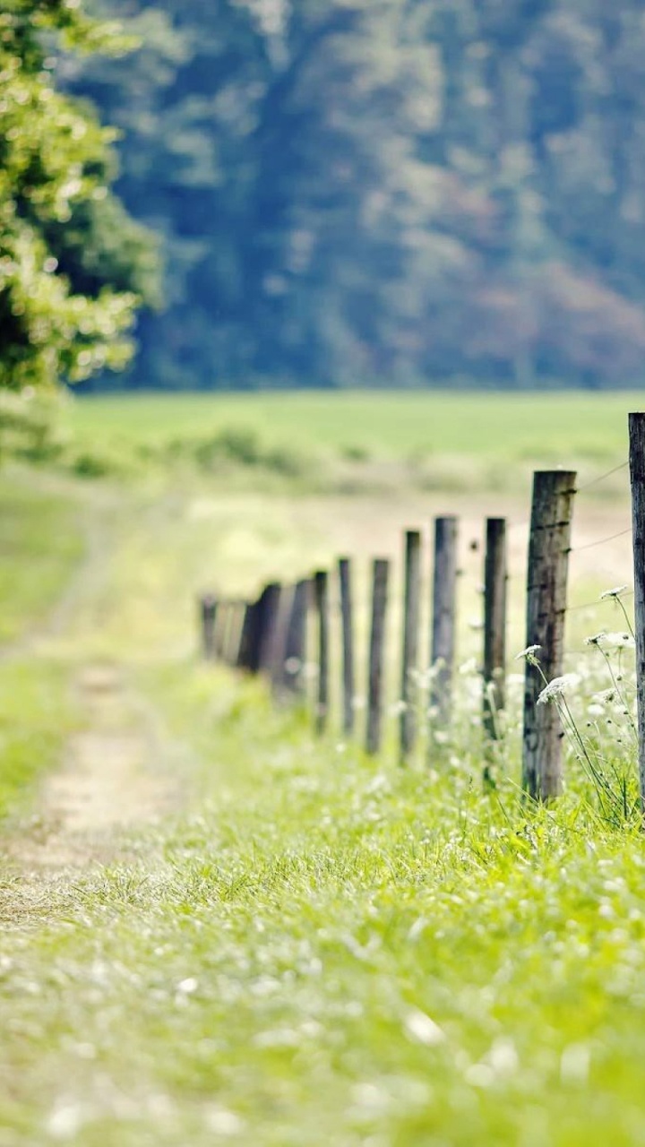 Brown Wooden Fence on Green Grass Field During Daytime. Wallpaper in 720x1280 Resolution