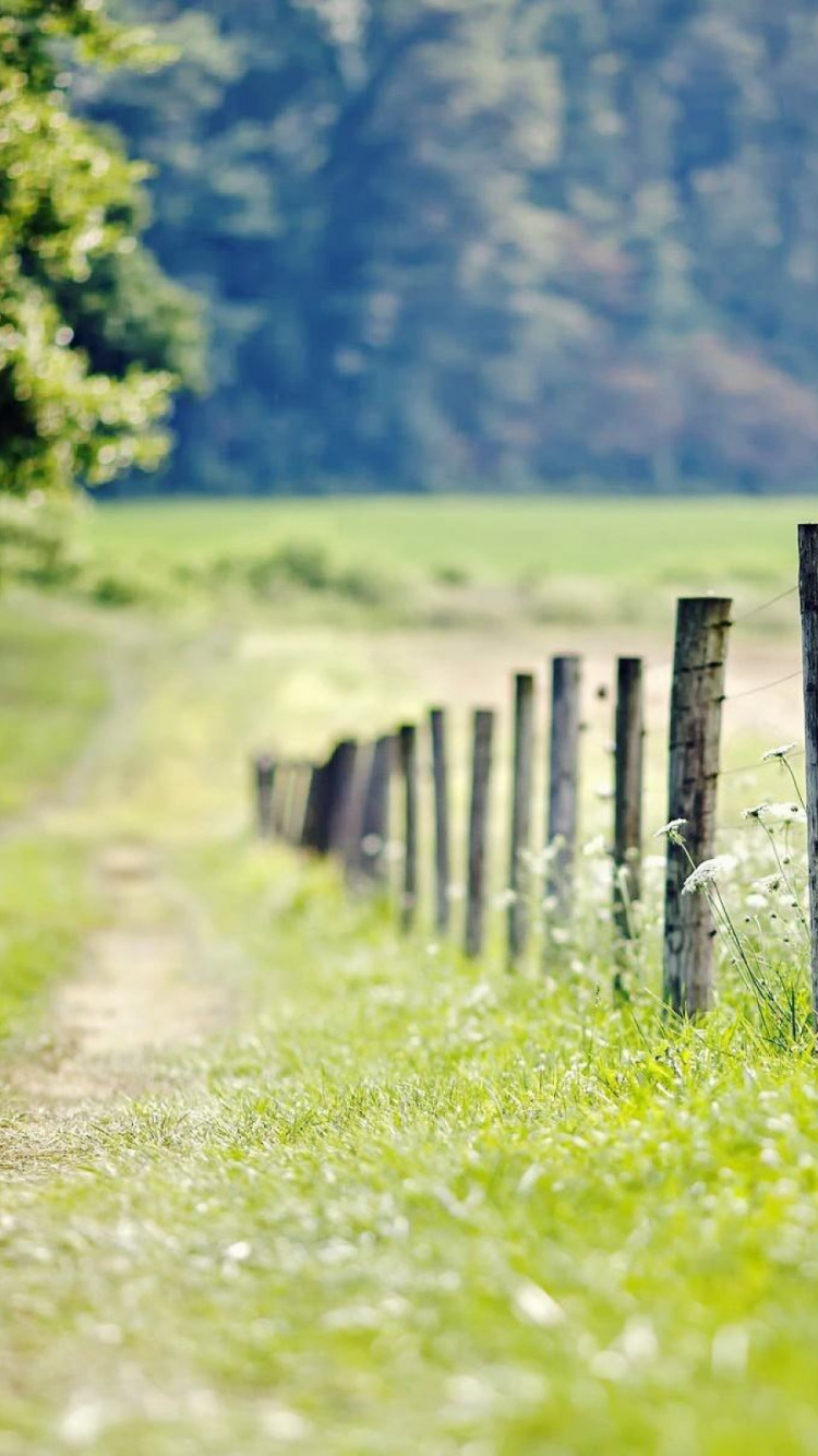 Brown Wooden Fence on Green Grass Field During Daytime. Wallpaper in 750x1334 Resolution