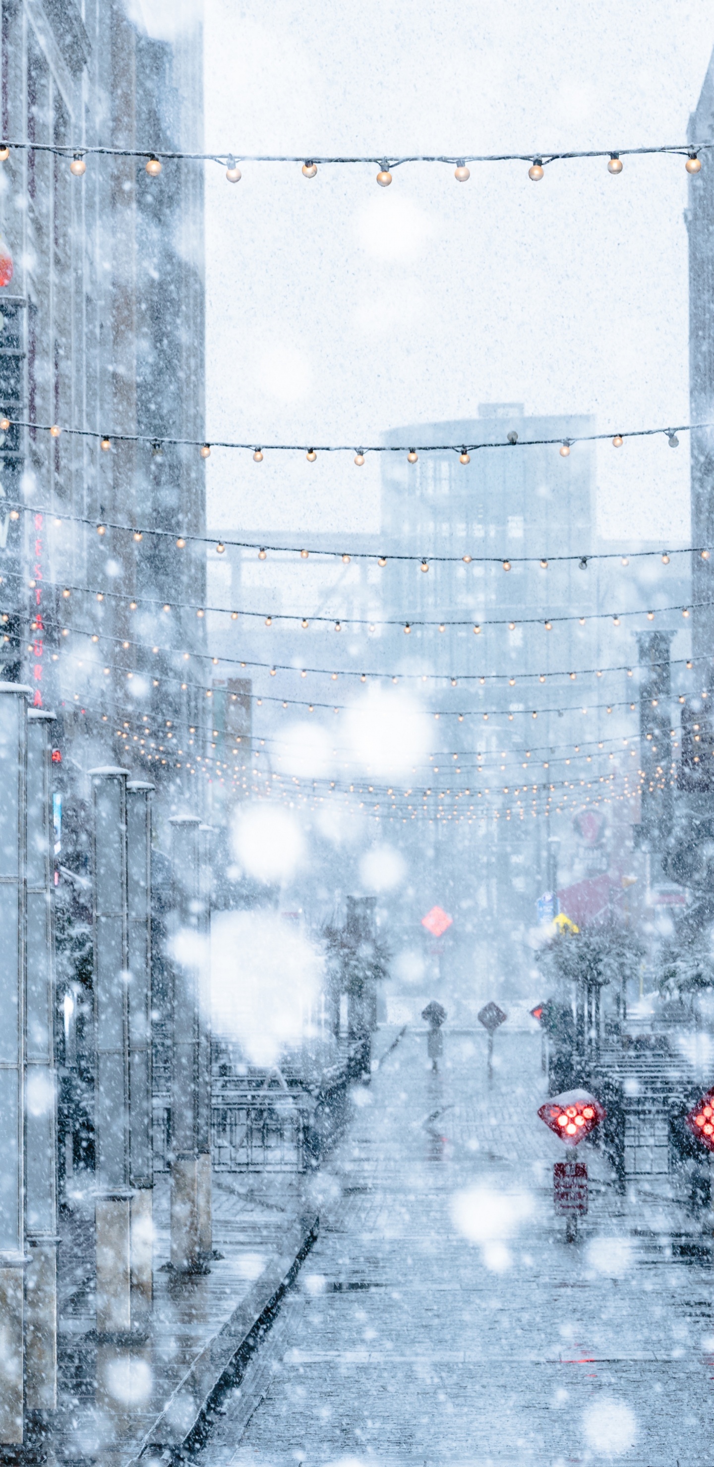 Árbol de Navidad Rojo y Verde Con Nieve. Wallpaper in 1440x2960 Resolution