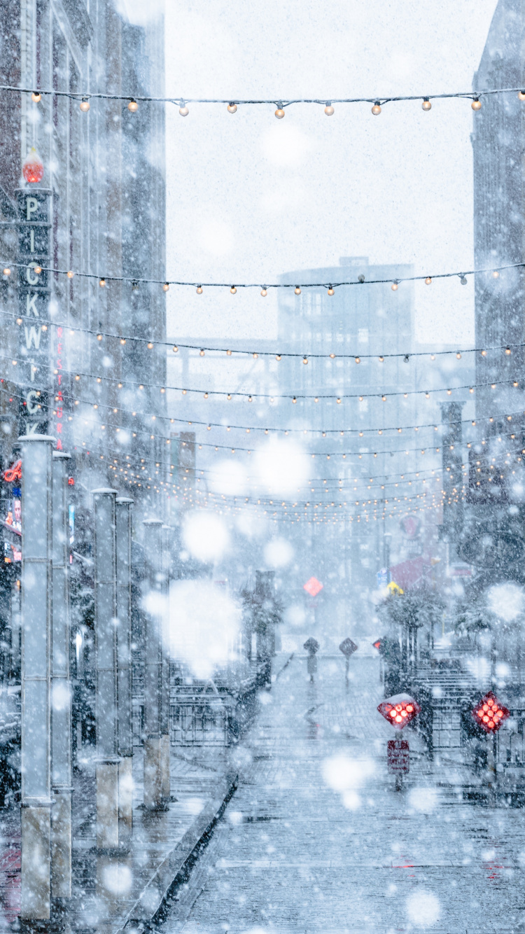 Red and Green Christmas Tree With Snow. Wallpaper in 750x1334 Resolution