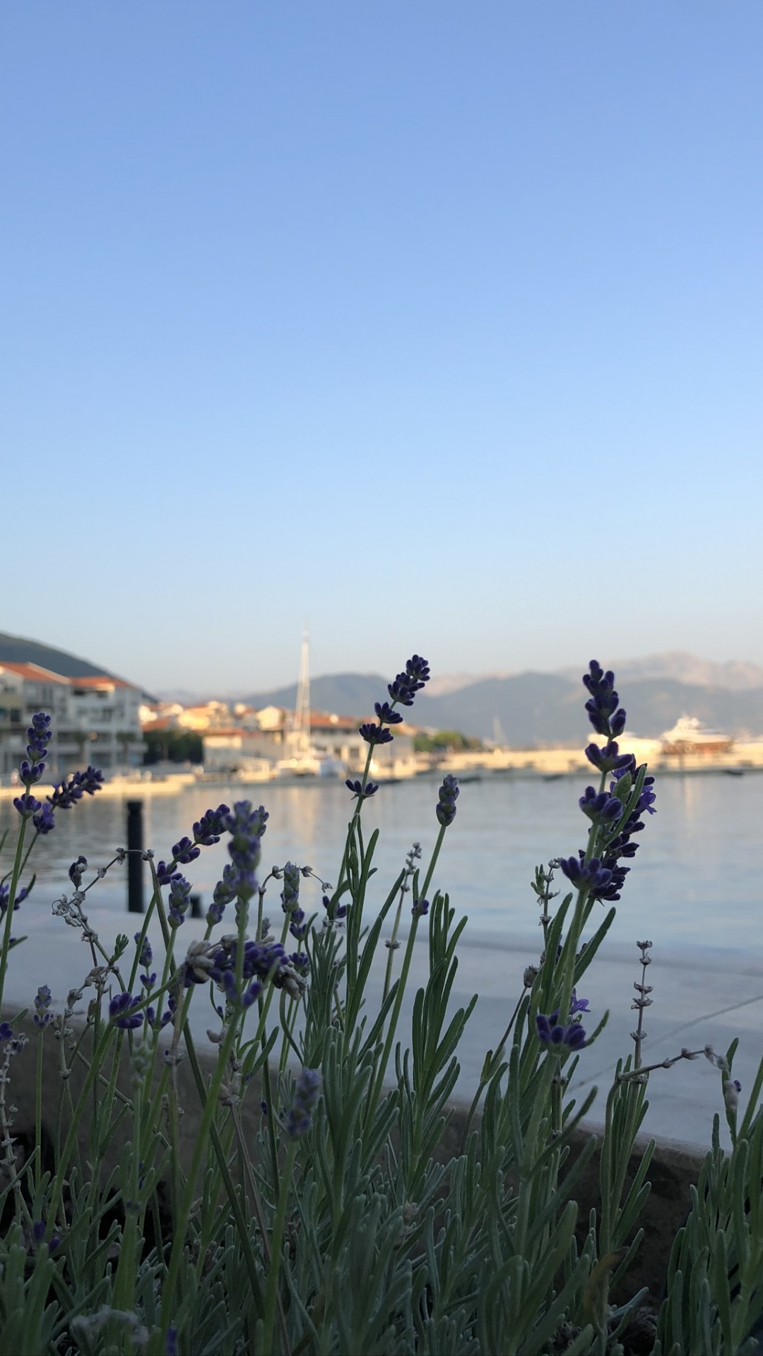 Water, Plant Community, Science, Water Resources, Bank. Wallpaper in 1080x1920 Resolution