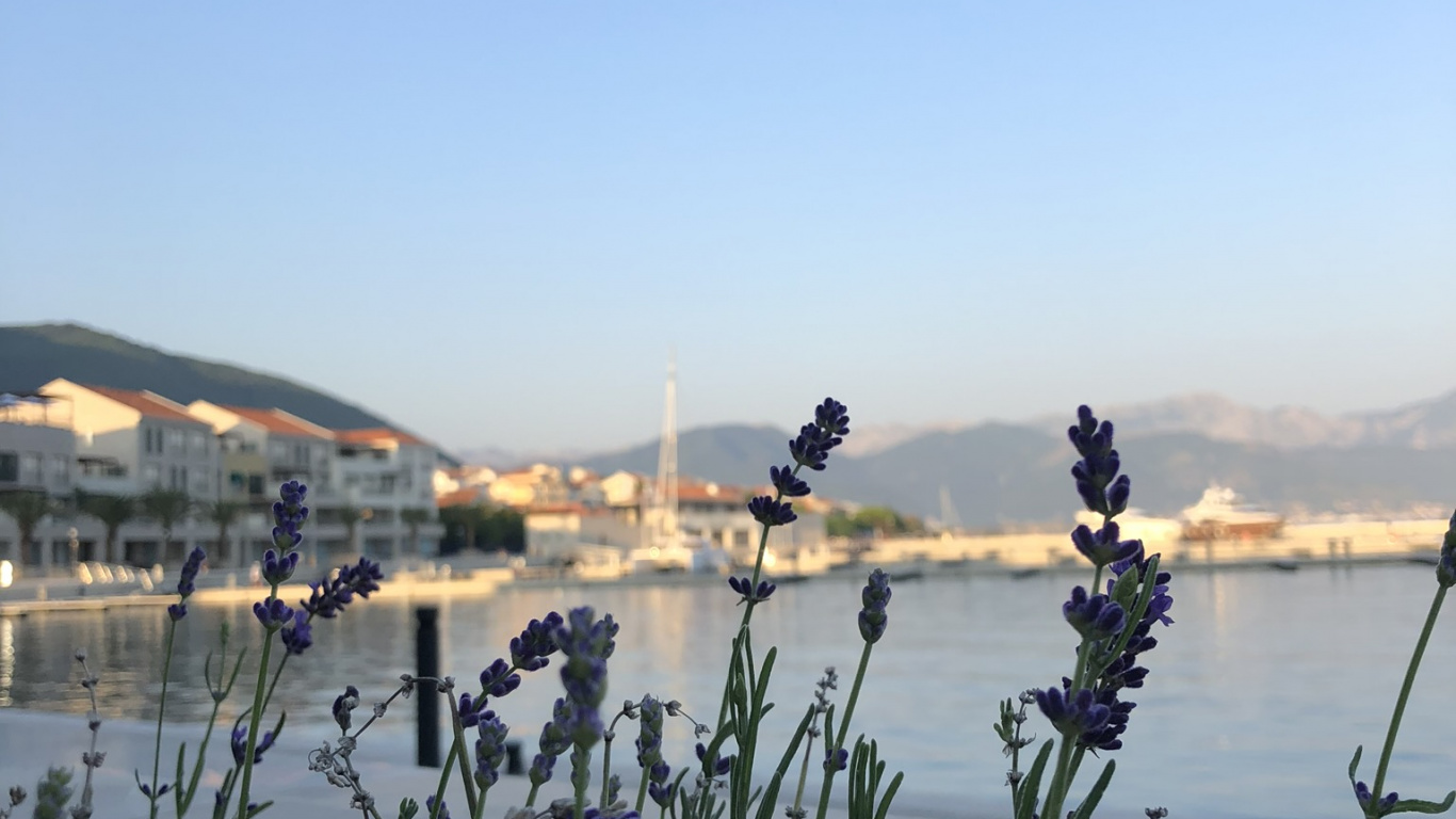 Water, Plant Community, Science, Water Resources, Bank. Wallpaper in 1366x768 Resolution