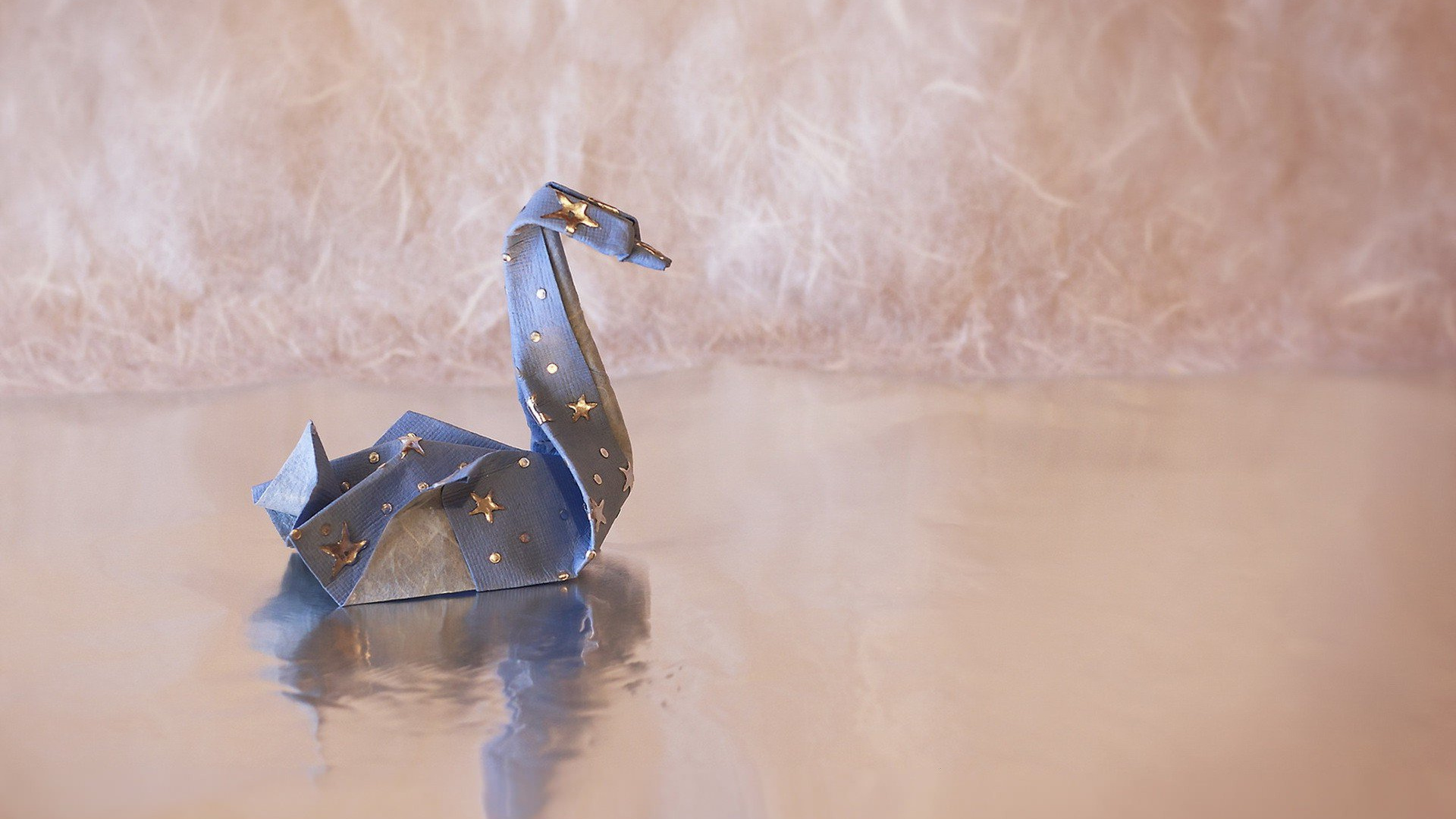 Canard Bleu et Blanc Sur L'eau. Wallpaper in 1920x1080 Resolution