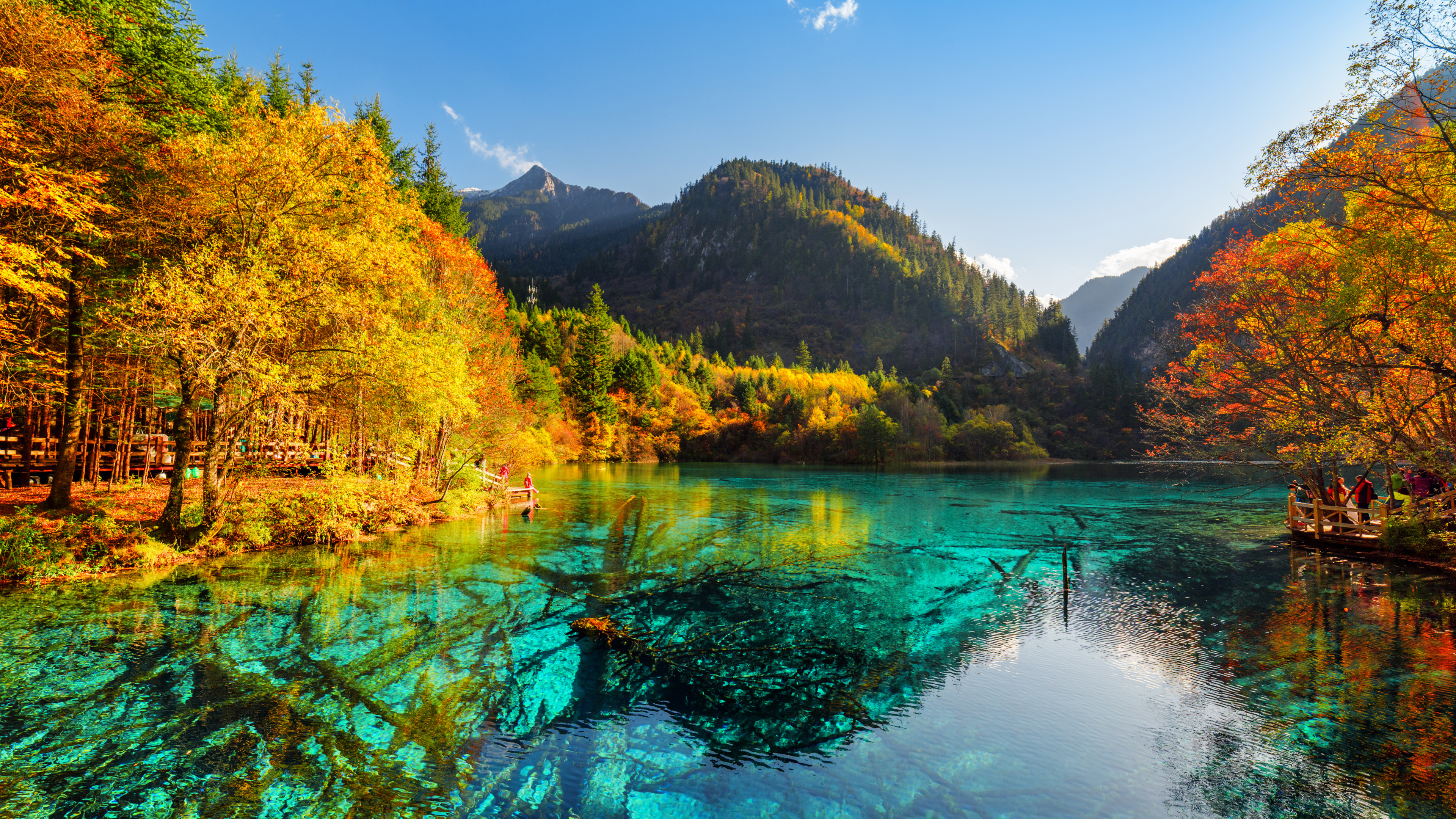 Green Trees Near Lake Under Blue Sky During Daytime. Wallpaper in 3840x2160 Resolution