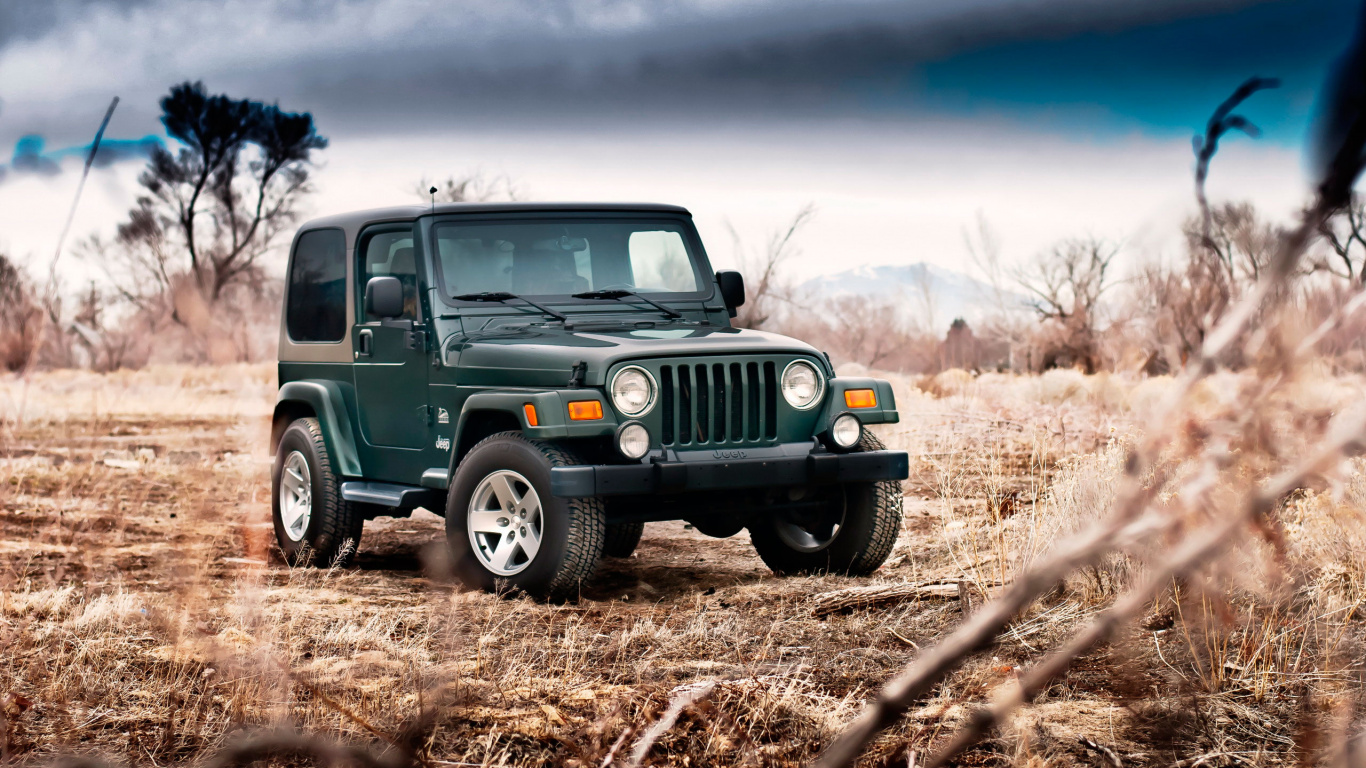 Jeep Wrangler Vert Sur Champ Brun Pendant la Journée. Wallpaper in 1366x768 Resolution