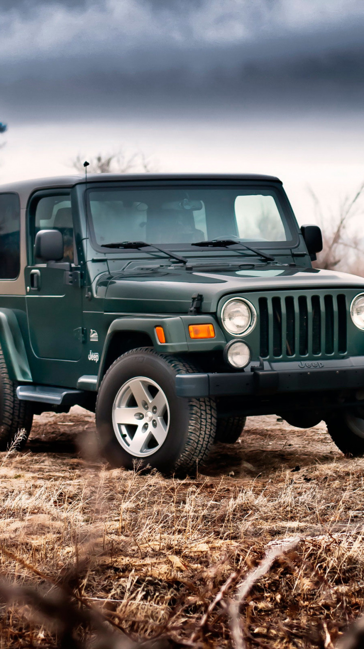 Green Jeep Wrangler on Brown Field During Daytime. Wallpaper in 750x1334 Resolution