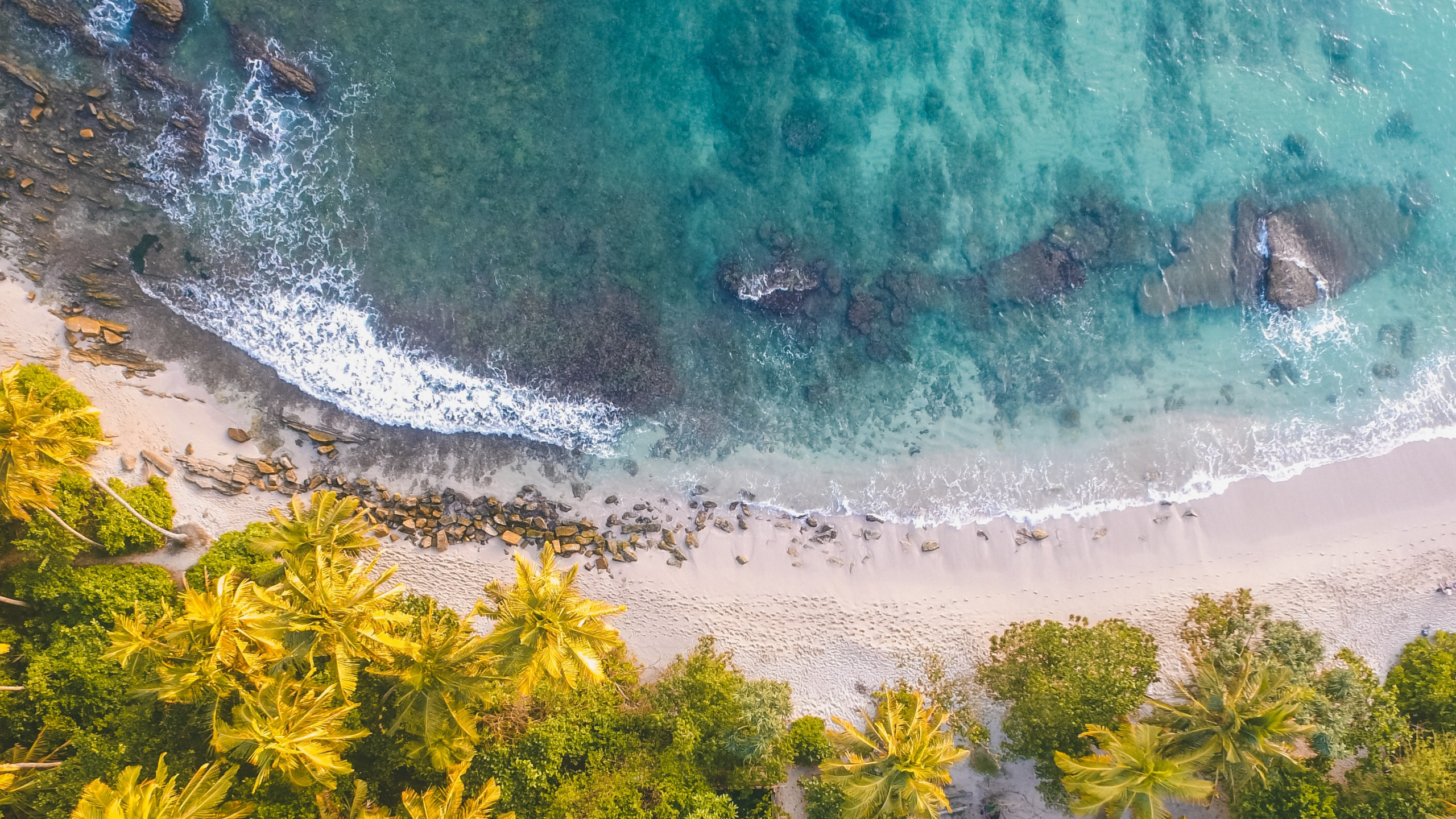 Beach Drone Shot, Beach, Sand, Shore, Water. Wallpaper in 2560x1440 Resolution