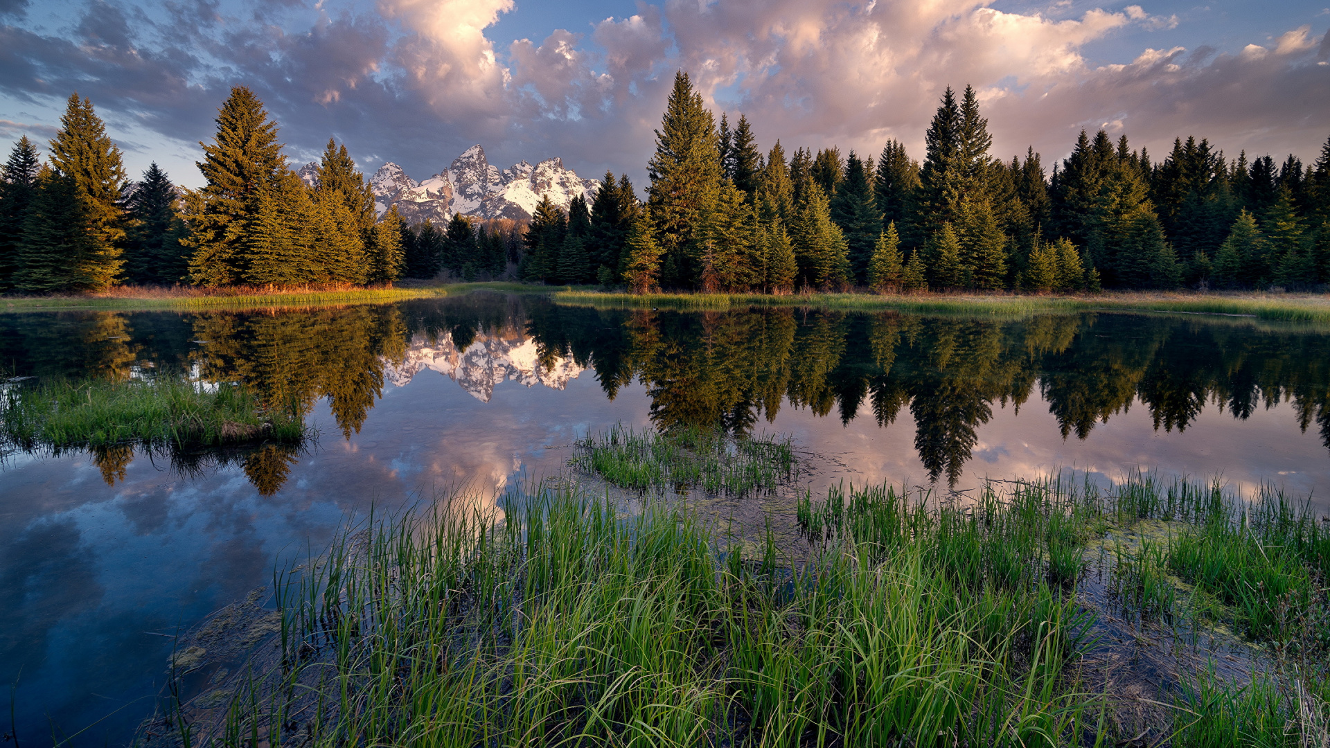 Green Pine Trees Beside Lake Under Blue Sky and White Clouds During Daytime. Wallpaper in 1920x1080 Resolution