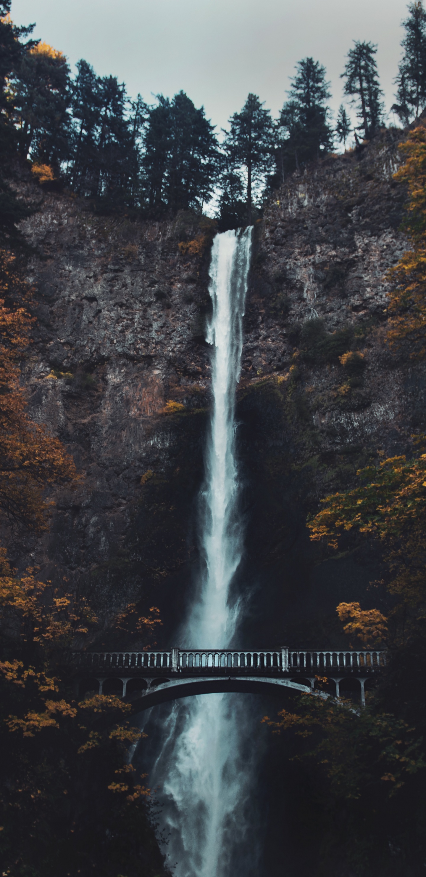 Multnomah Falls, Cascade, Eau, Nature, Paysage Naturel. Wallpaper in 1440x2960 Resolution