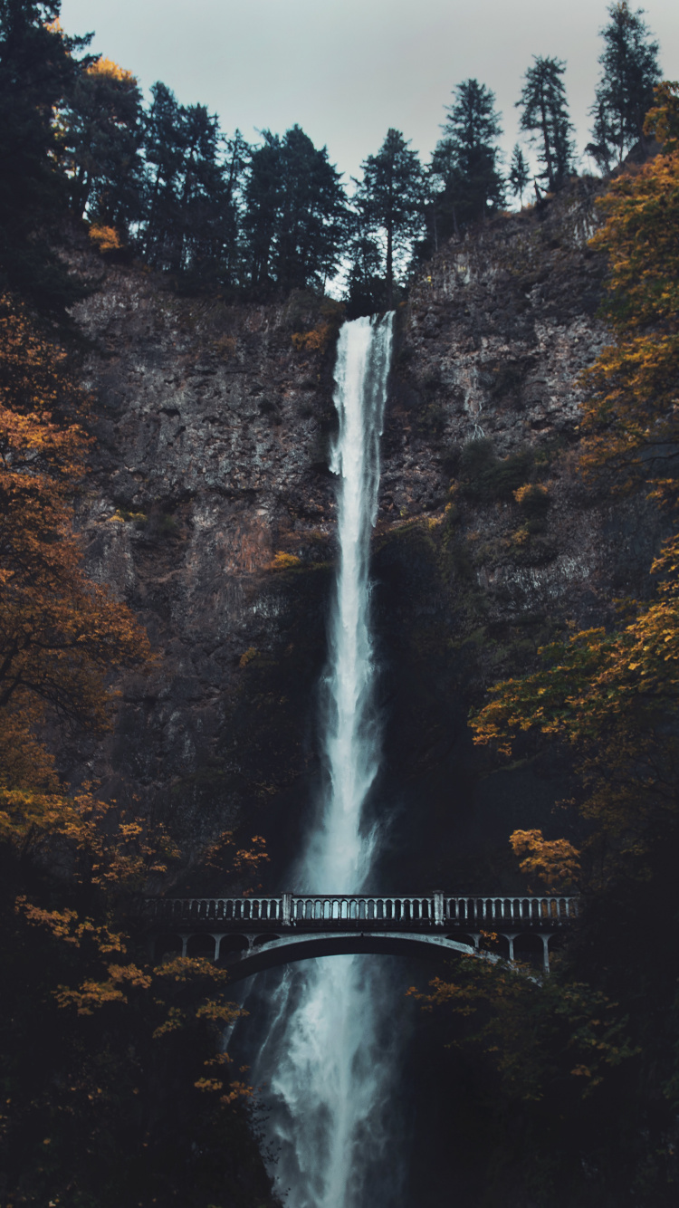 Multnomah Falls, Cascada, Agua, Naturaleza, Paisaje Natural. Wallpaper in 750x1334 Resolution