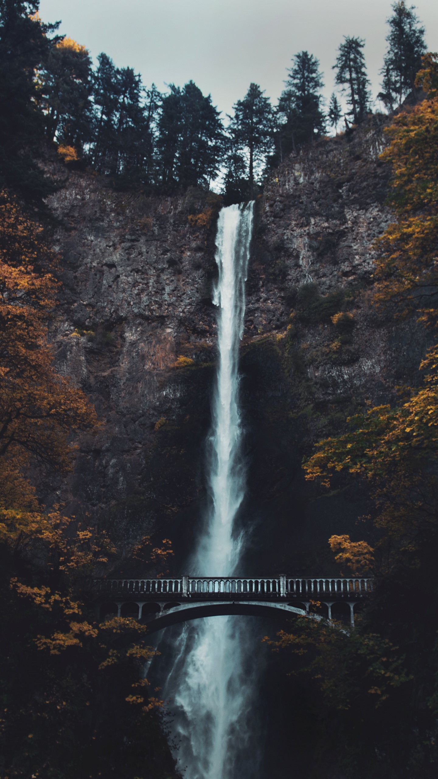 Multnomah Falls, Wasserfall, Wasser, Natur, Naturlandschaft. Wallpaper in 1440x2560 Resolution