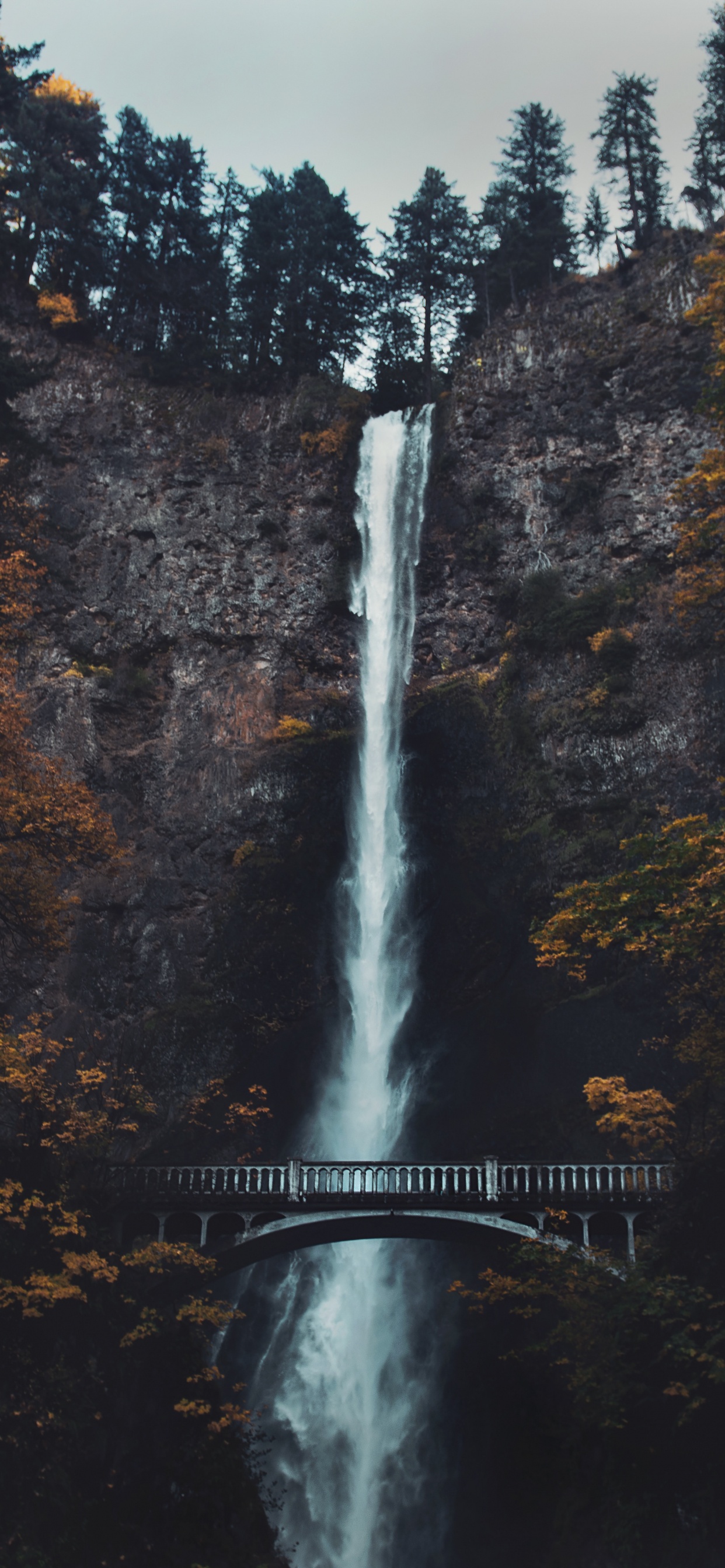 Multnomah Falls, Waterfall, Water, Nature, Natural Landscape. Wallpaper in 1242x2688 Resolution