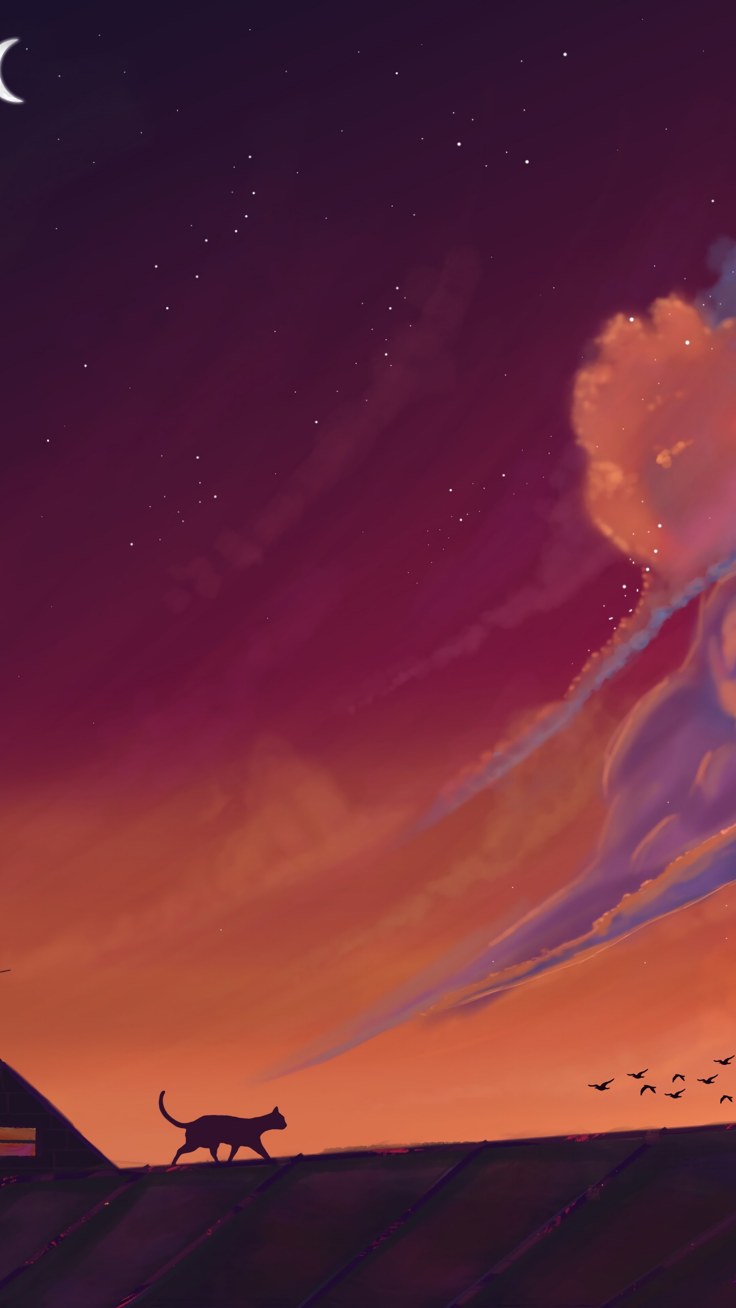 Silhouette de Maison Sous Ciel Orange. Wallpaper in 1440x2560 Resolution