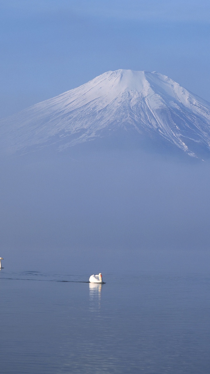 White and Black Mountain Near Body of Water During Daytime. Wallpaper in 720x1280 Resolution