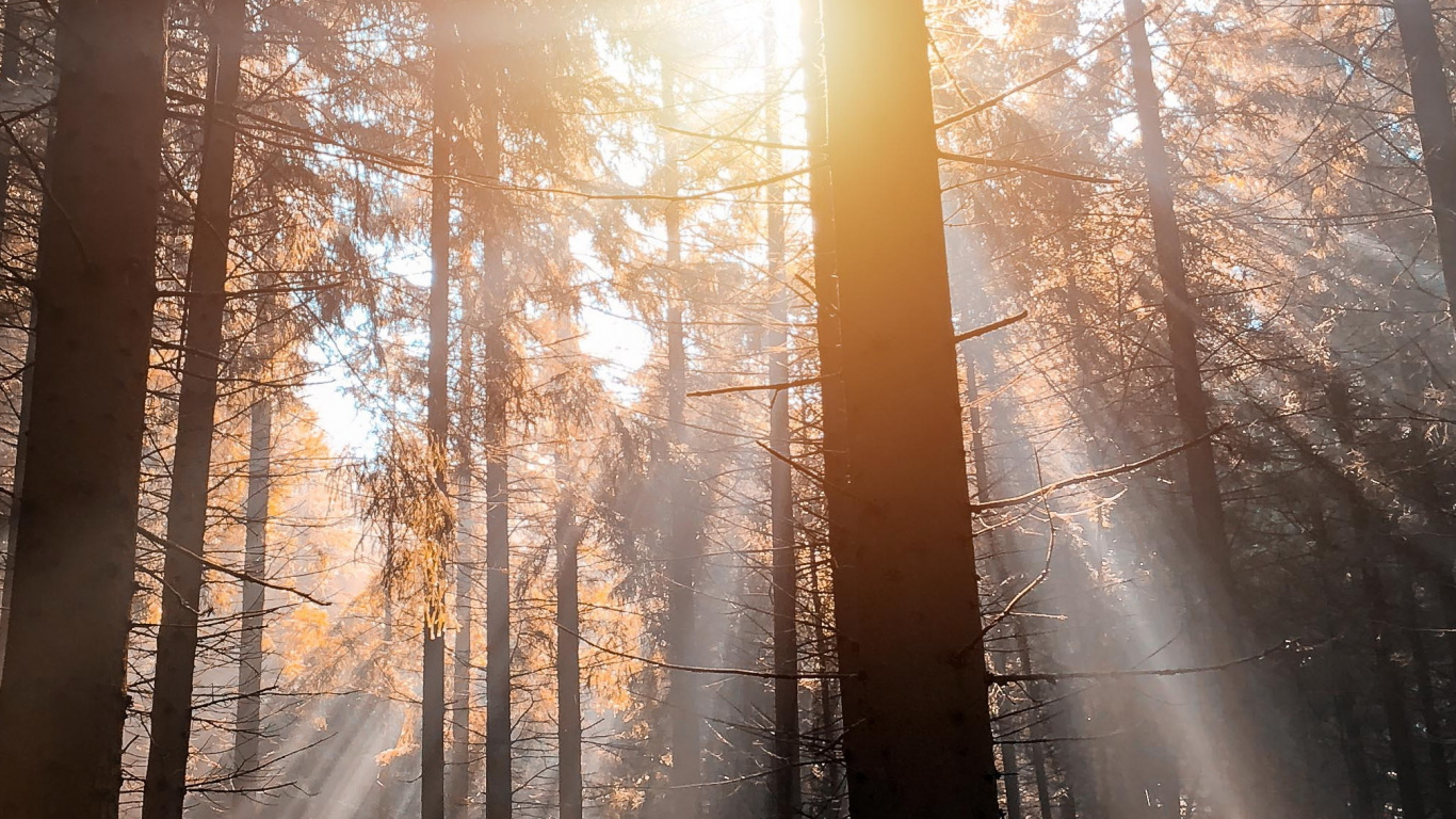 Natur, Über Spa-francorchamps, Baum, Francorchamps, Atmosphäre. Wallpaper in 1366x768 Resolution
