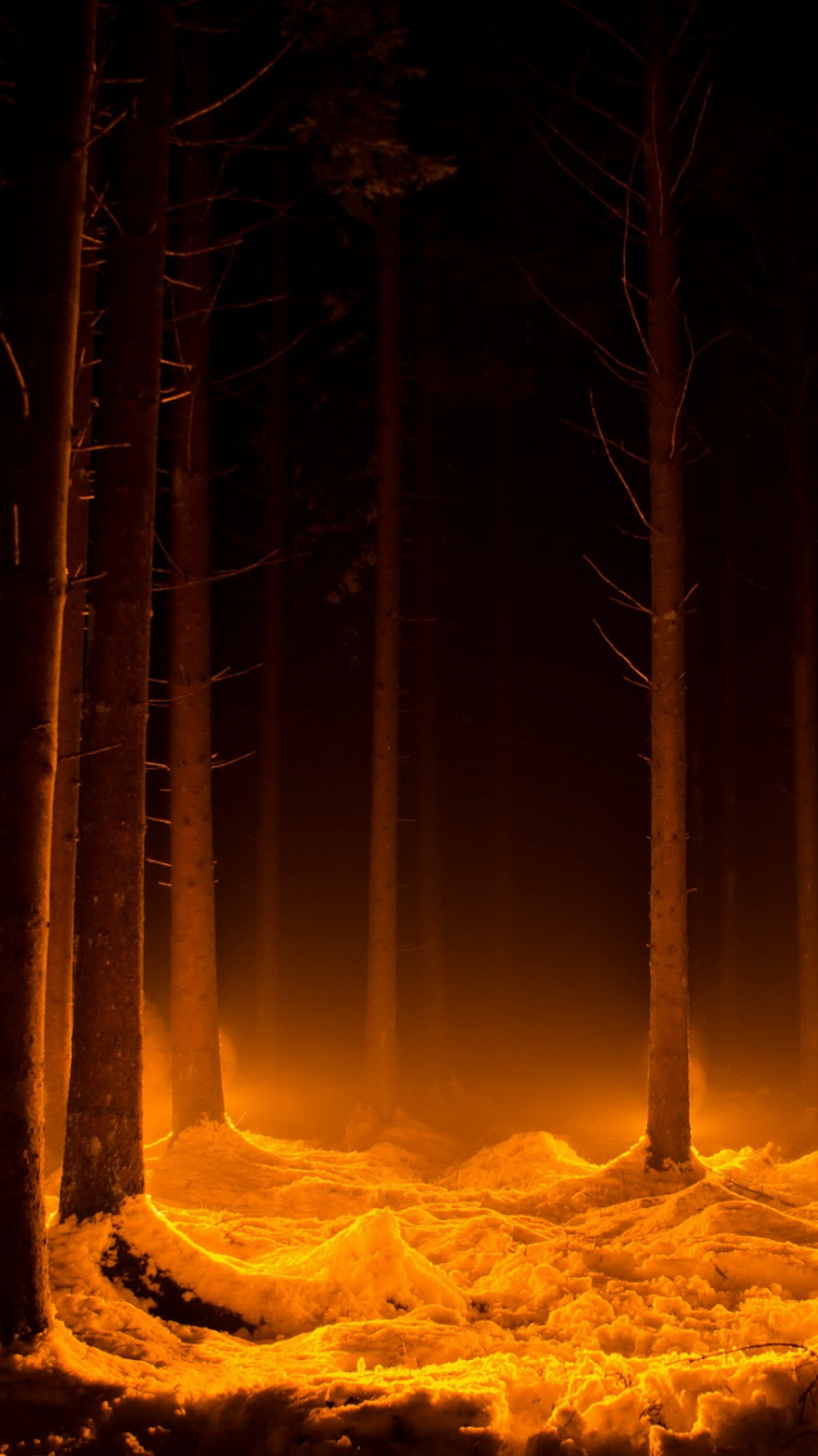 Braune Bäume Auf Schneebedecktem Boden Während Der Nacht. Wallpaper in 750x1334 Resolution