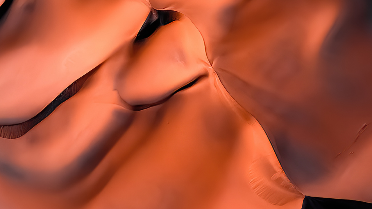 Orange, Science, Nose, Lip, Chin. Wallpaper in 1280x720 Resolution