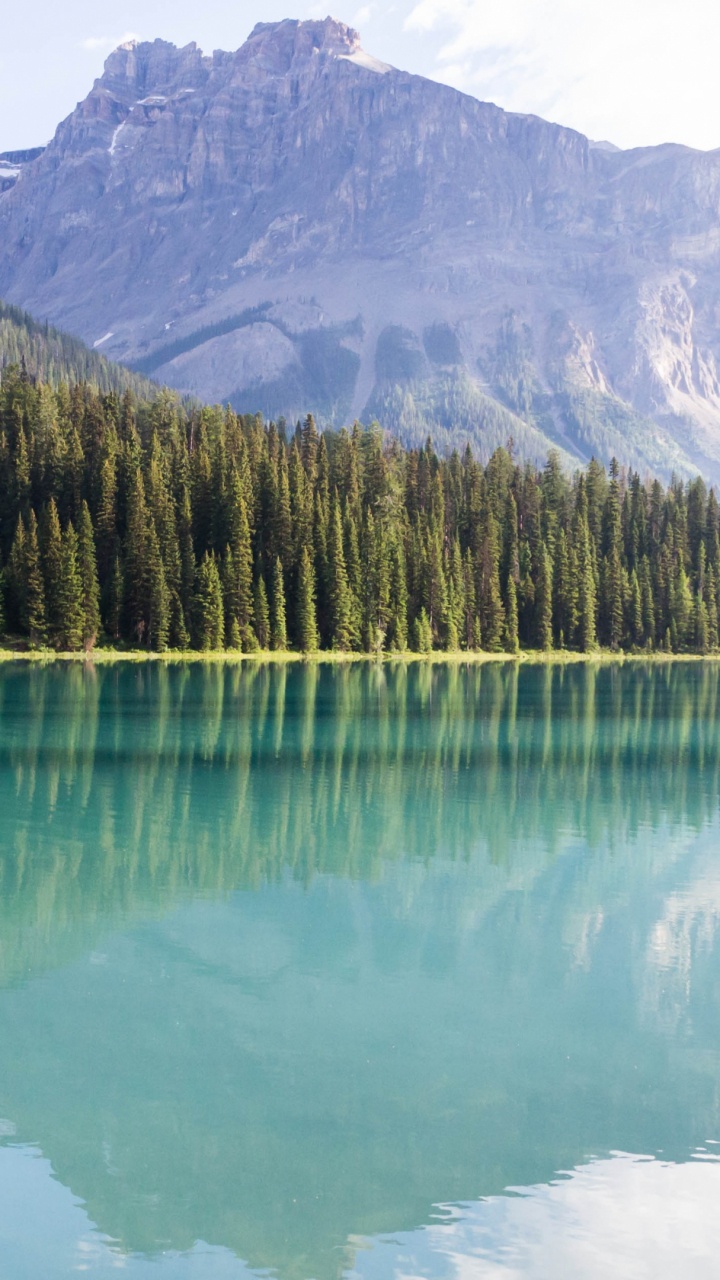 杰士湖, 性质, 反射, 荒野, 地貌 壁纸 720x1280 允许