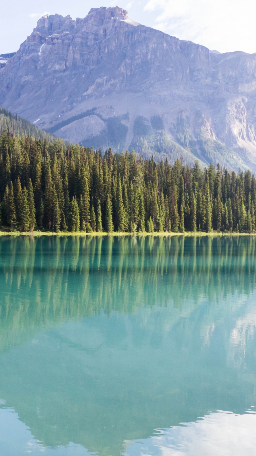 Green Trees Near Lake and Mountain During Daytime. Wallpaper in 1080x1920 Resolution