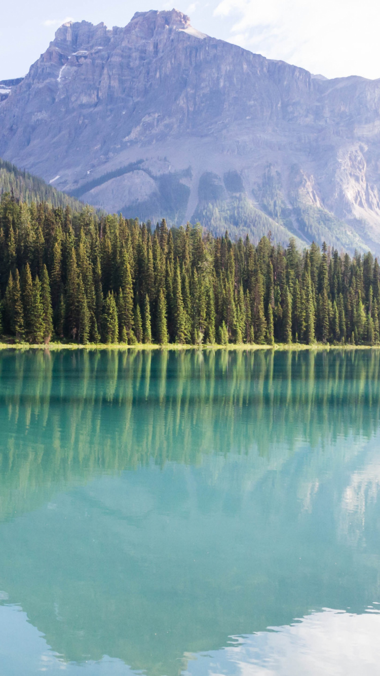 Green Trees Near Lake and Mountain During Daytime. Wallpaper in 750x1334 Resolution