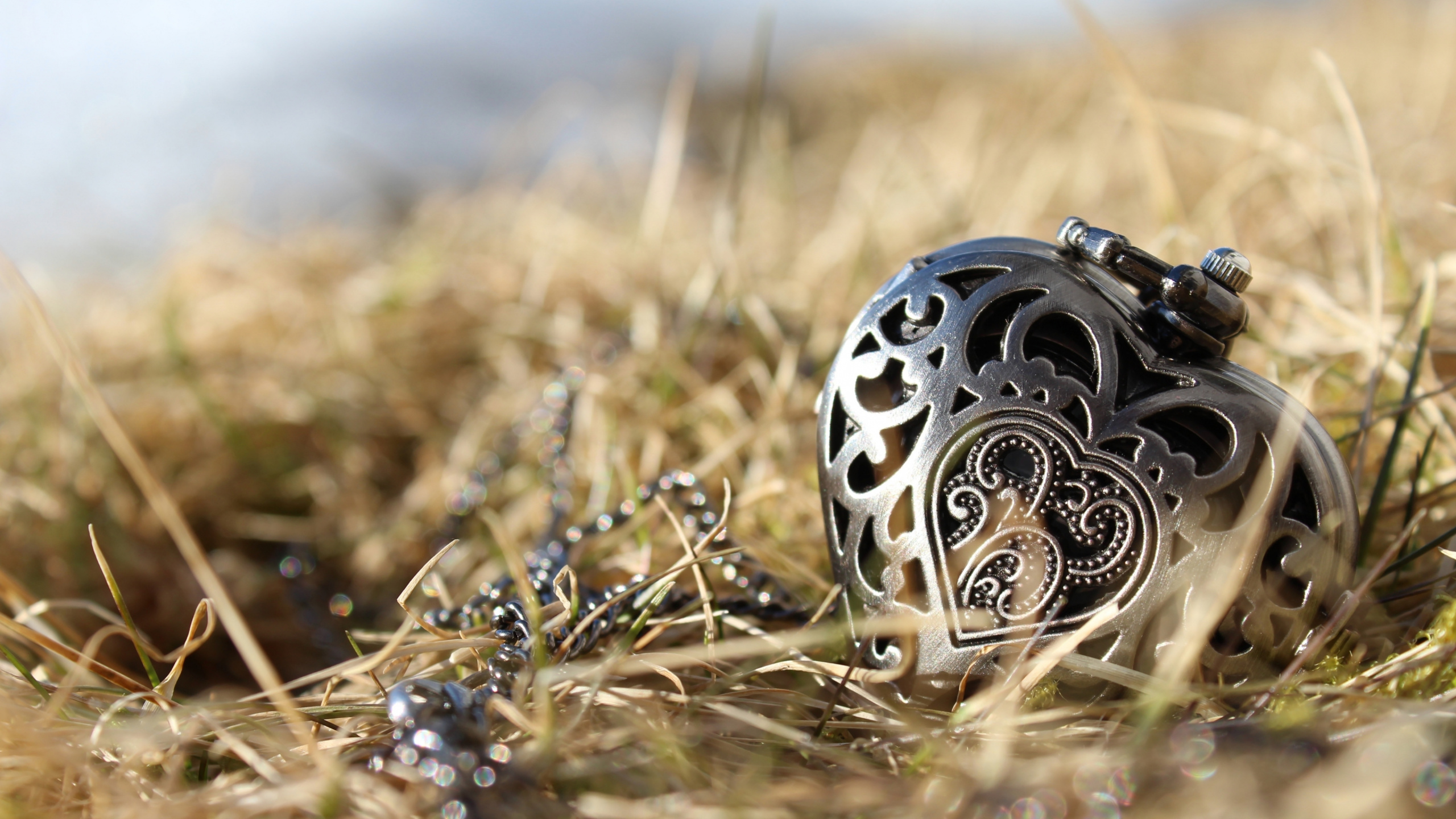 Pendant Heart, Bijouterie, Pendentif, Gravure, Boucle D'oreille. Wallpaper in 2560x1440 Resolution