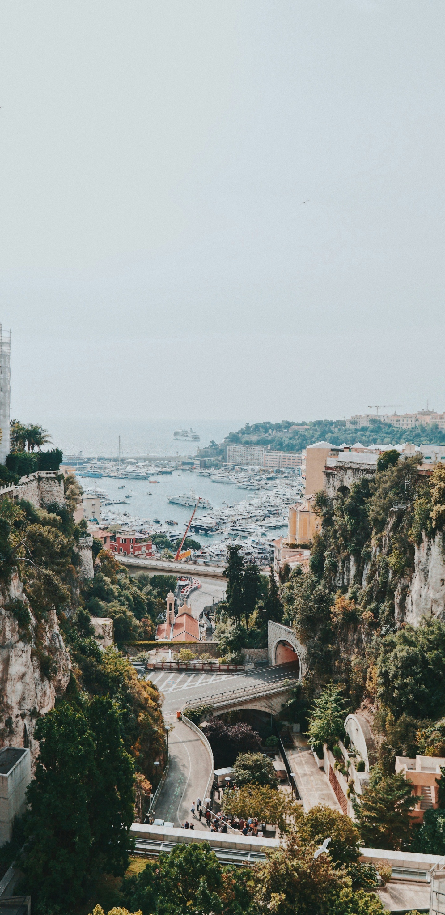 monaco city, Monte Carlo, omnes education, apples