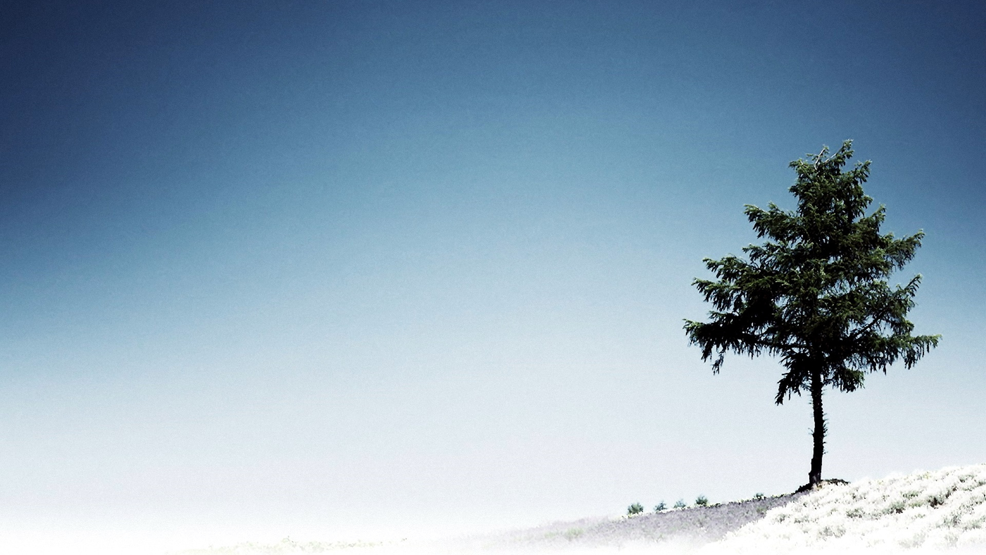 Arbre Vert Sur Champ Couvert de Neige Blanche Sous Ciel Bleu Pendant la Journée. Wallpaper in 1920x1080 Resolution