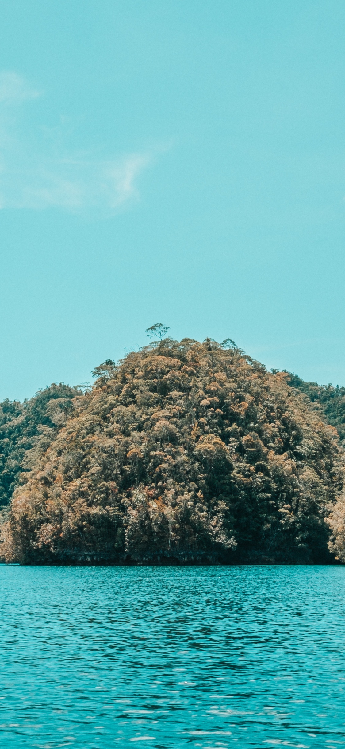 Sea, Coast, Body of Water, Water, Nature. Wallpaper in 1125x2436 Resolution