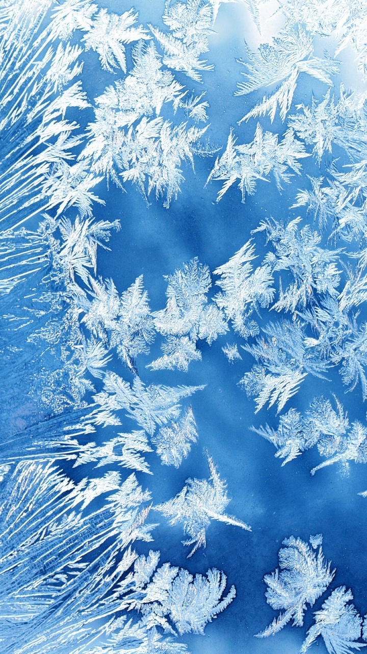 Textile Floral Blanc et Bleu. Wallpaper in 720x1280 Resolution