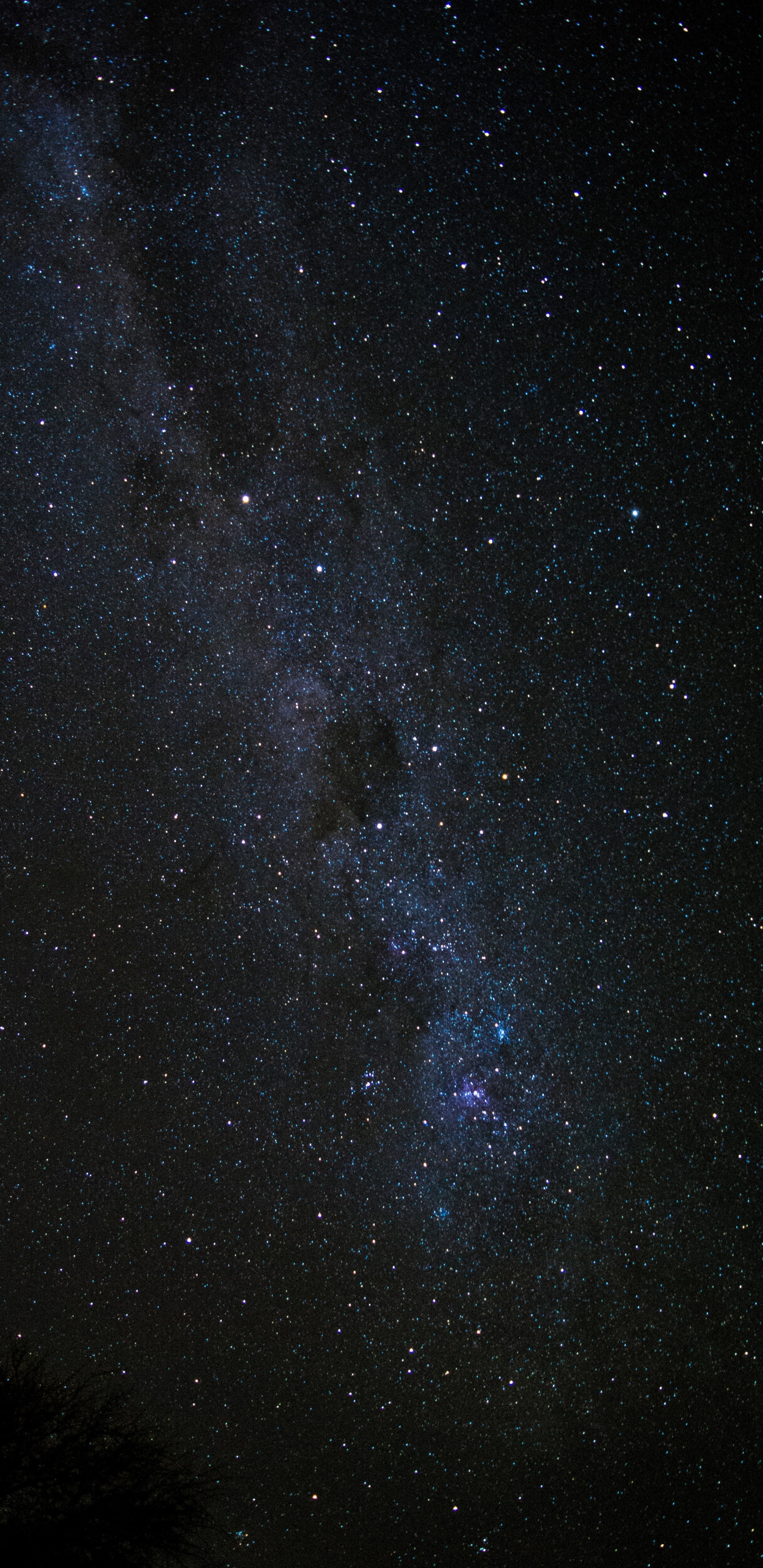 Starry Night Sky During Night Time. Wallpaper in 1440x2960 Resolution