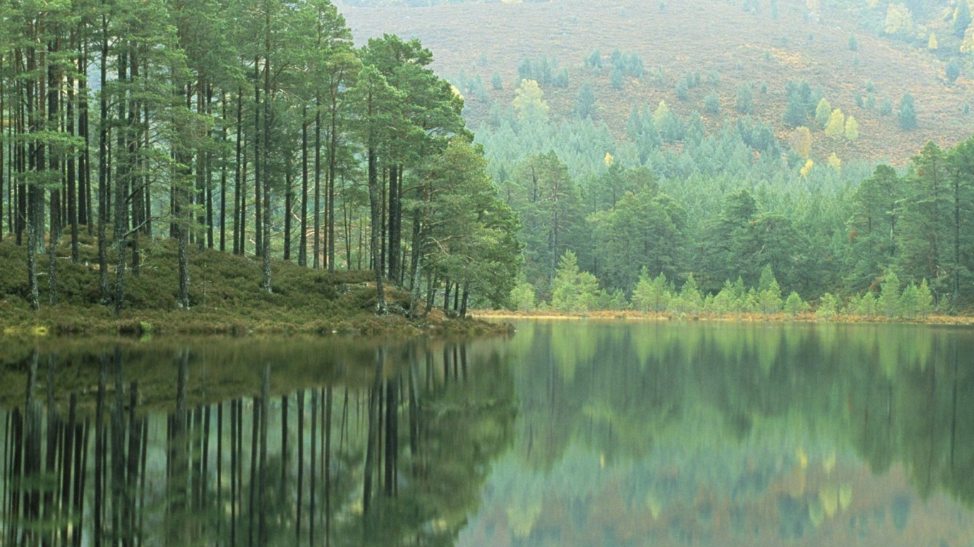 Green Trees Beside Lake During Daytime. Wallpaper in 1366x768 Resolution