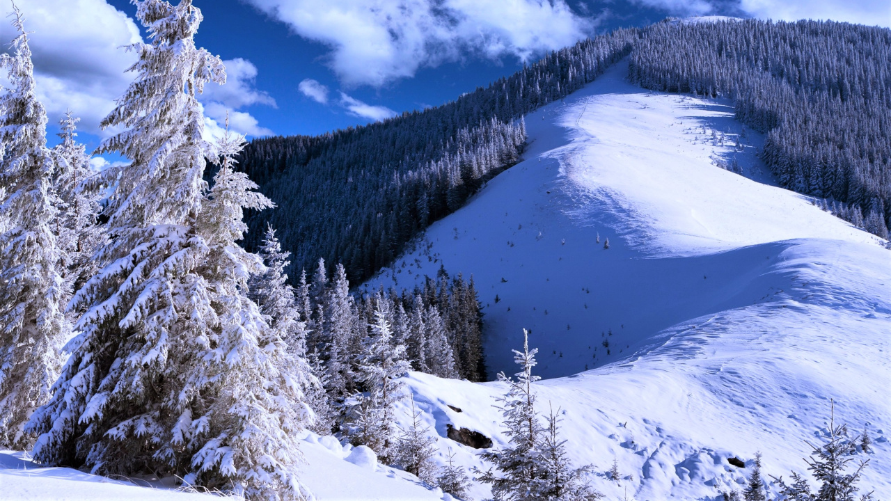 Snow Covered Trees and Mountains Under Blue Sky and White Clouds During Daytime. Wallpaper in 1280x720 Resolution