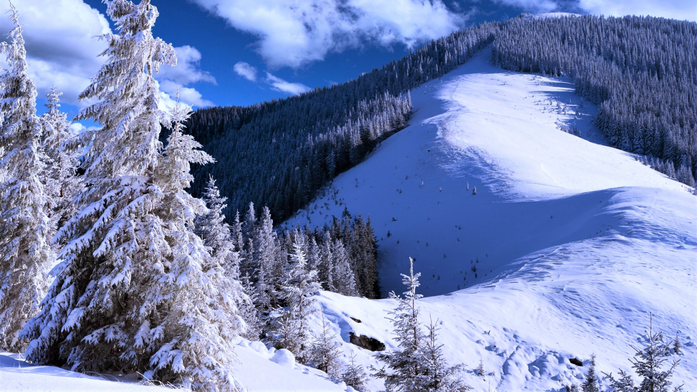 Snow Covered Trees and Mountains Under Blue Sky and White Clouds During Daytime. Wallpaper in 1366x768 Resolution