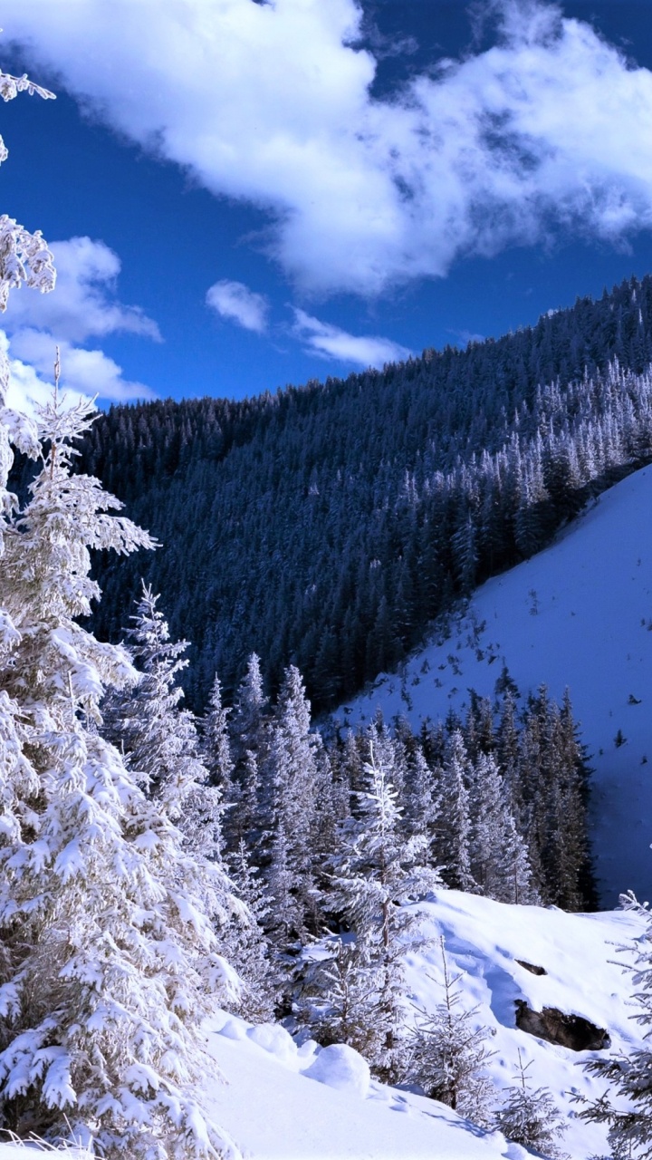 Arbres et Montagnes Couverts de Neige Sous Ciel Bleu et Nuages Blancs Pendant la Journée. Wallpaper in 720x1280 Resolution