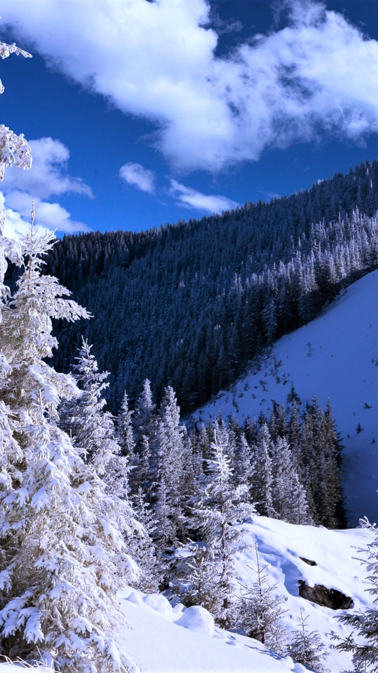 Arbres et Montagnes Couverts de Neige Sous Ciel Bleu et Nuages Blancs Pendant la Journée. Wallpaper in 750x1334 Resolution