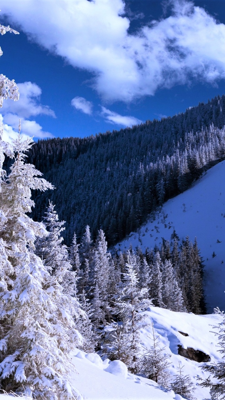 Árboles Cubiertos de Nieve y Montañas Bajo un Cielo Azul y Nubes Blancas Durante el Día. Wallpaper in 720x1280 Resolution