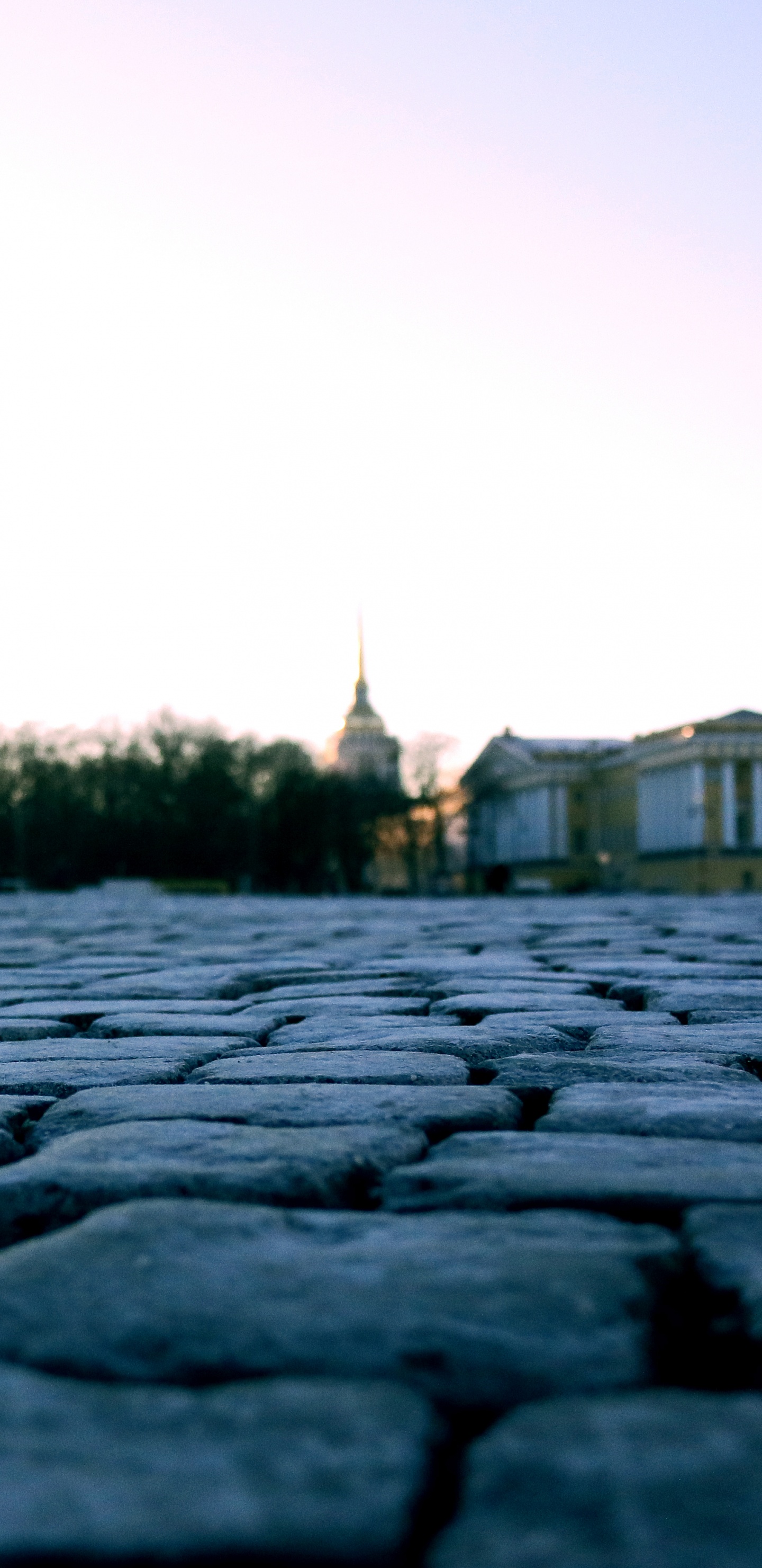 Gray Concrete Road During Daytime. Wallpaper in 1440x2960 Resolution
