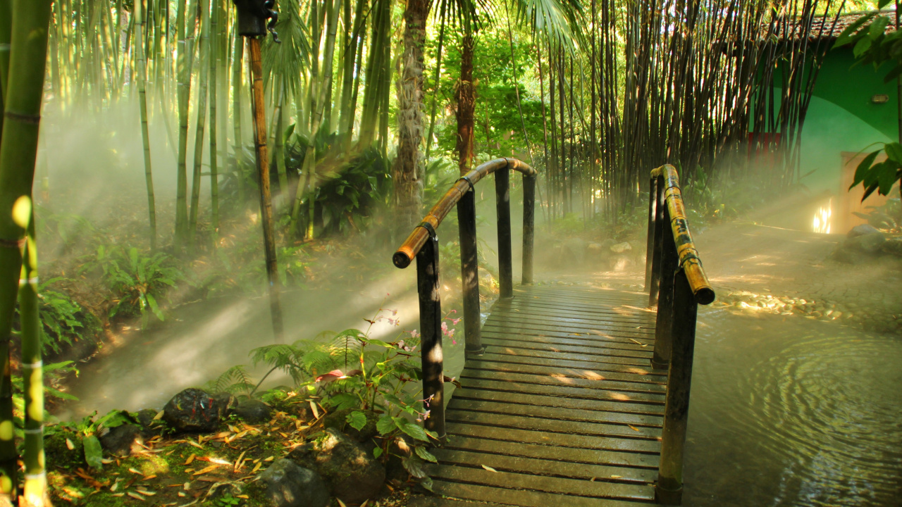 Braune Holzbrücke im Wald. Wallpaper in 1280x720 Resolution