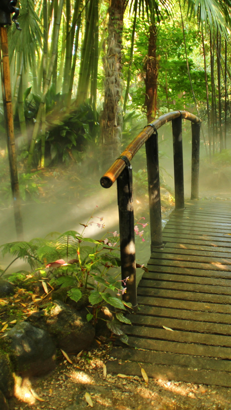 Brown Wooden Bridge in The Woods. Wallpaper in 750x1334 Resolution