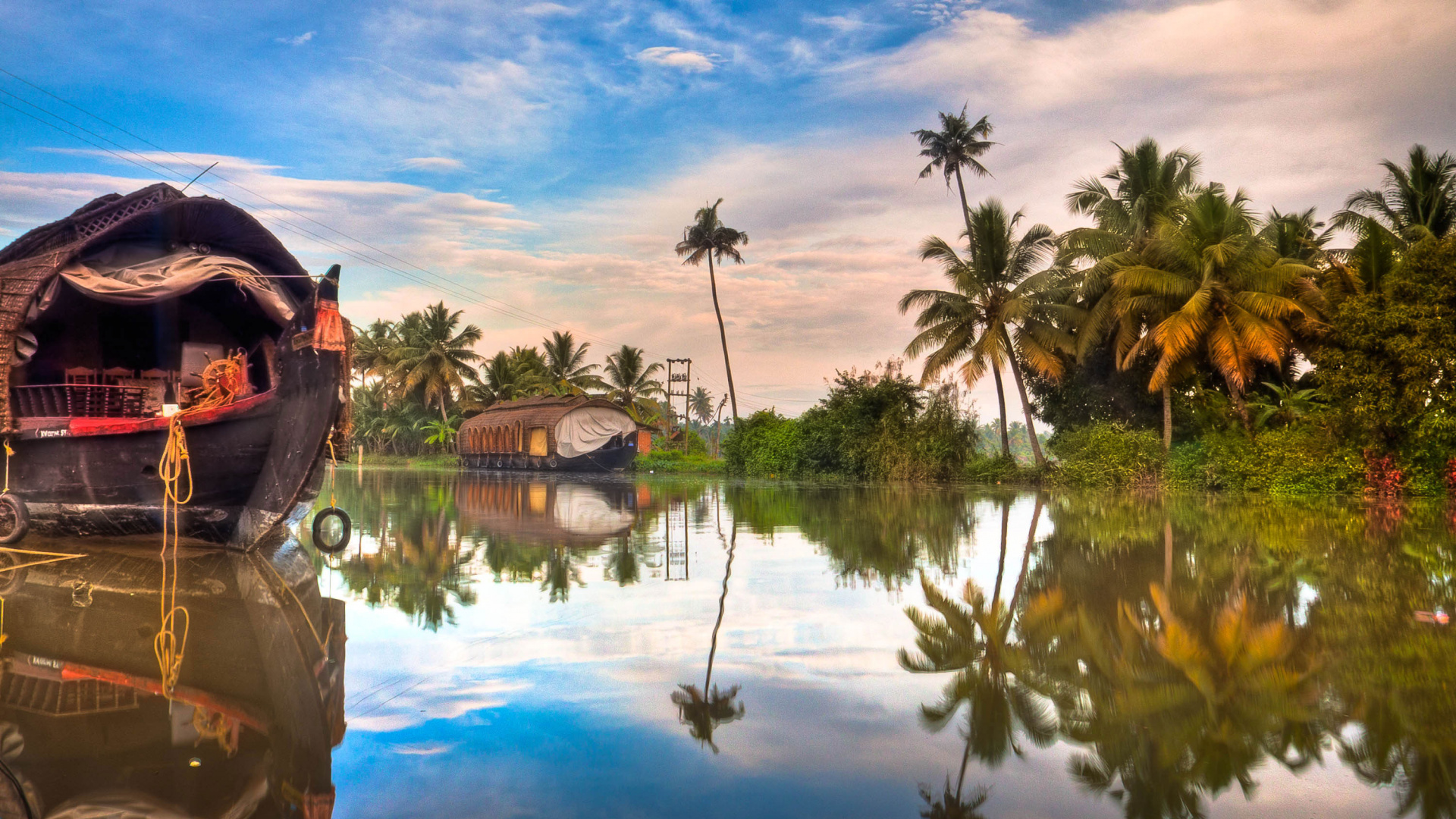 Green Palm Trees Beside Body of Water Under Blue Sky and White Clouds During Daytime. Wallpaper in 1920x1080 Resolution